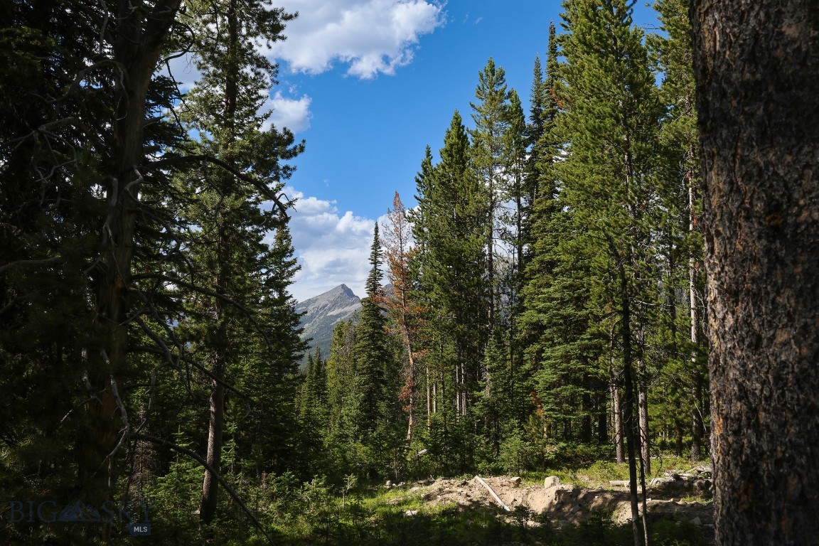TBD Beehive Basin Road