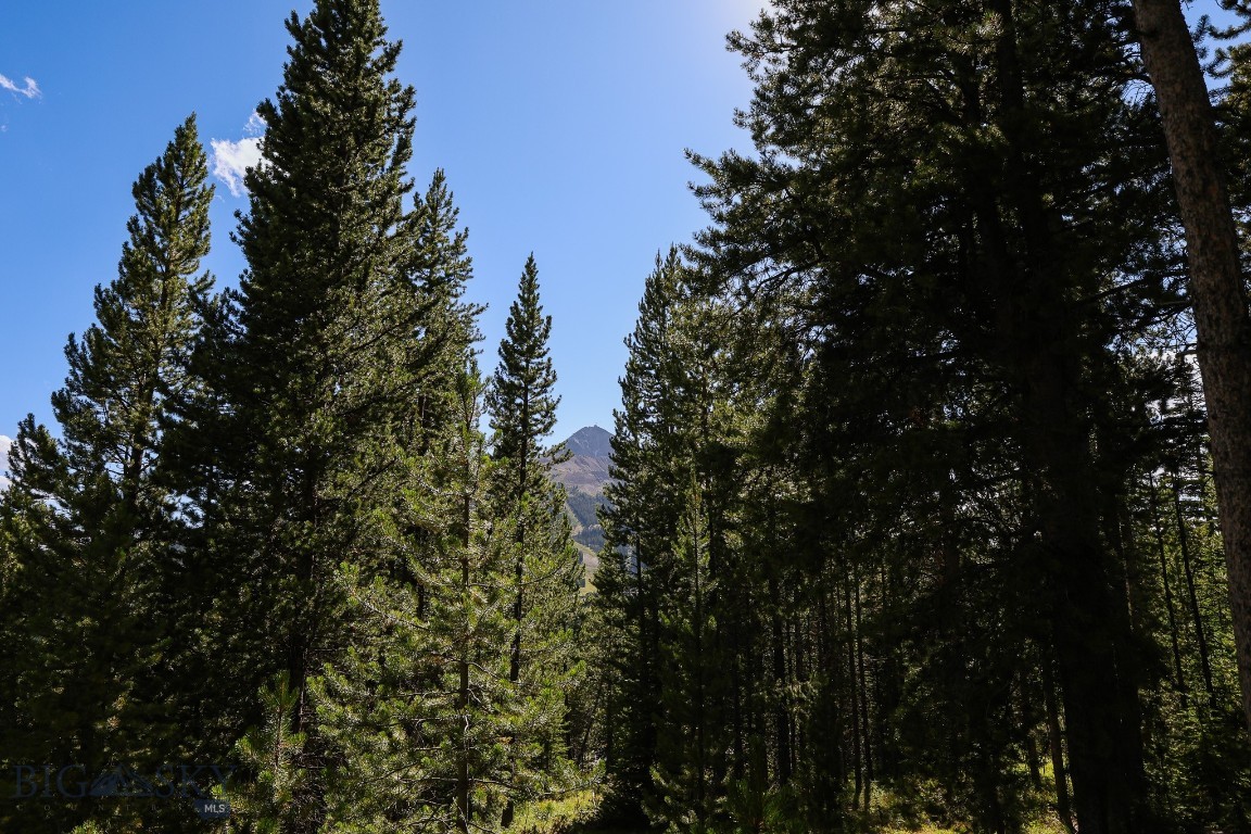 TBD Beehive Basin Road