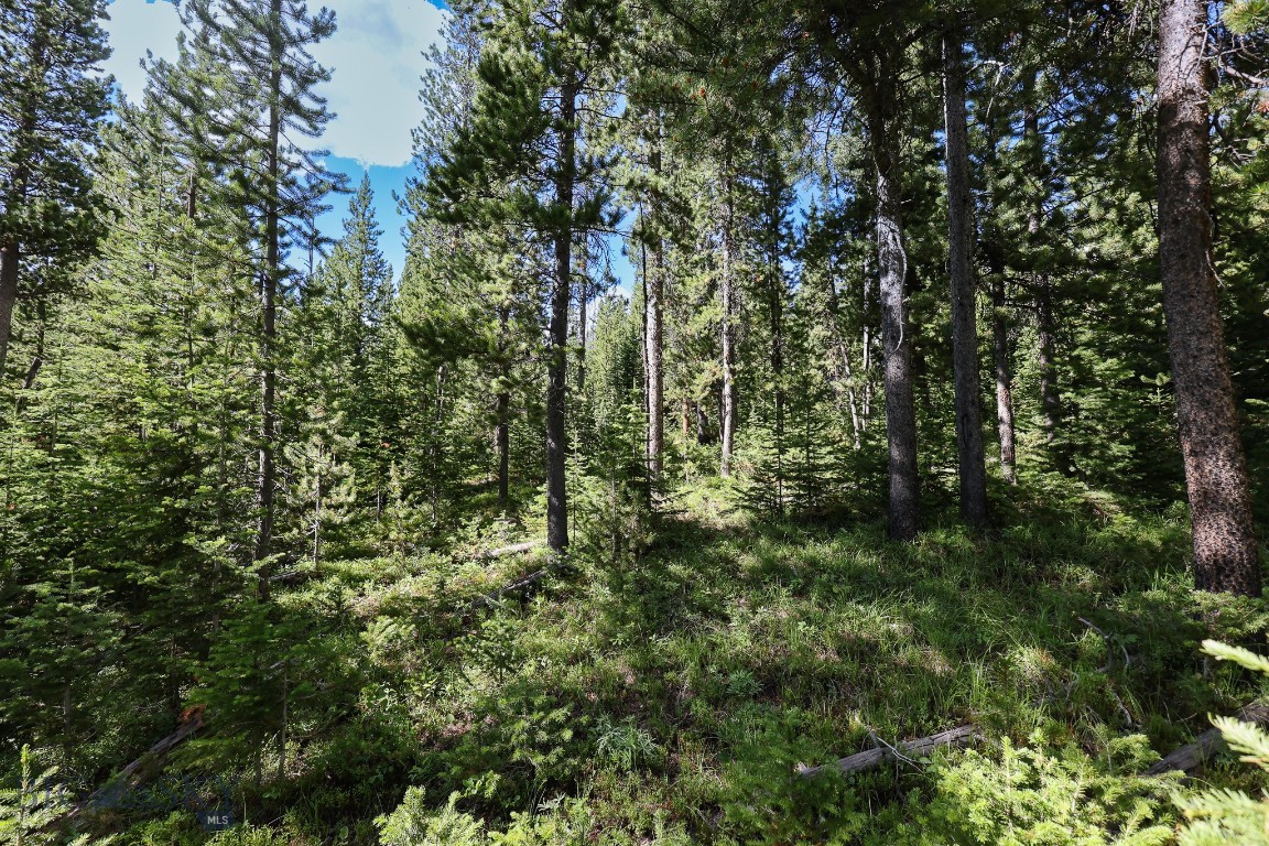 TBD Beehive Basin Road