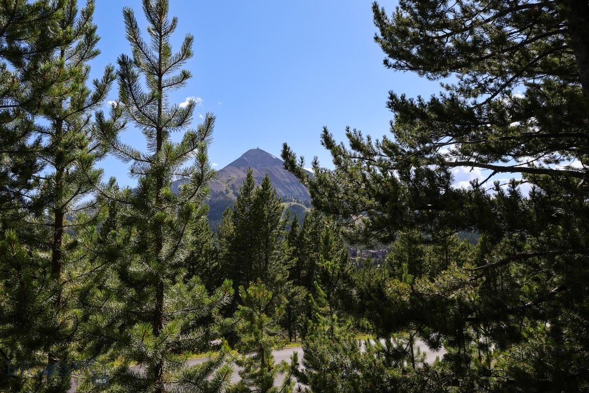 TBD Beehive Basin Road