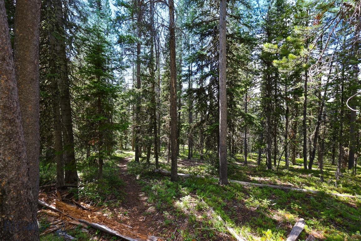 TBD Beehive Basin Road