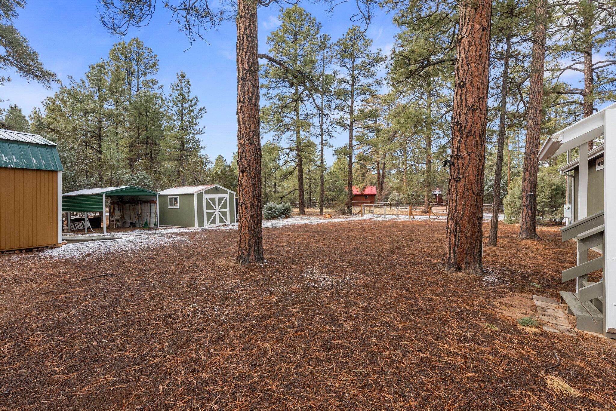 2896 PINE RIM Road