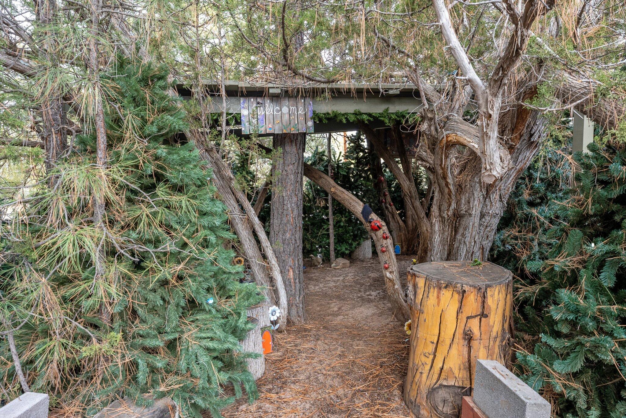 2896 PINE RIM Road