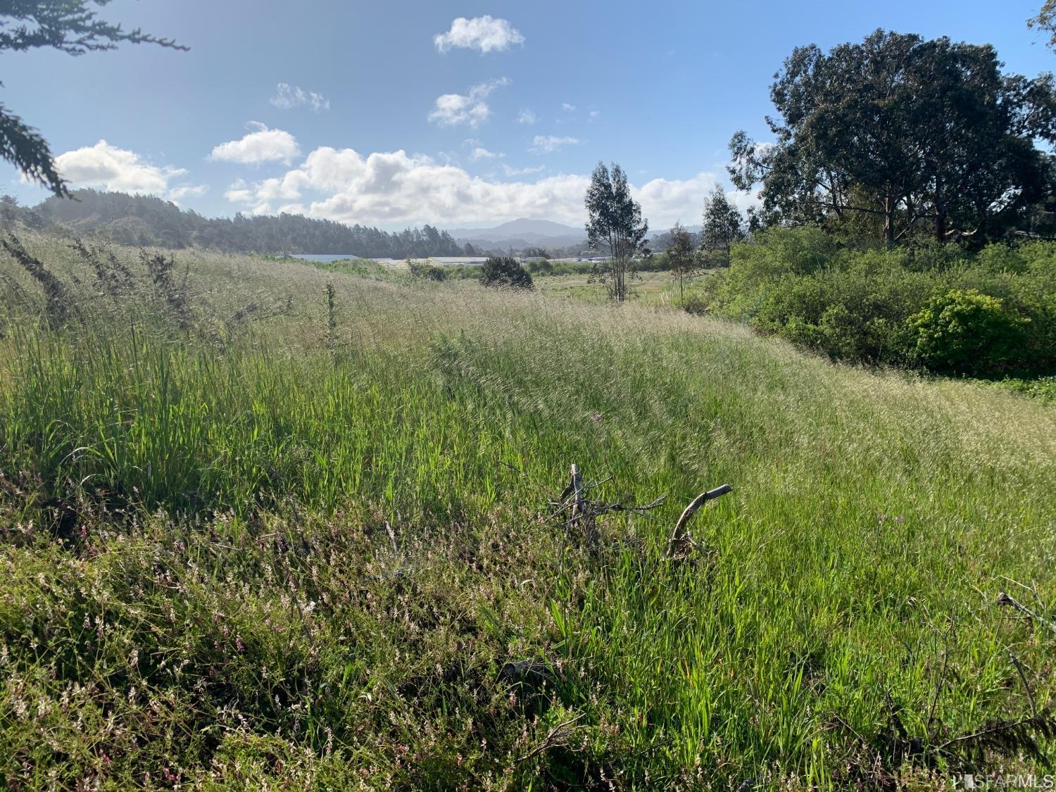 0 Alto Avenue