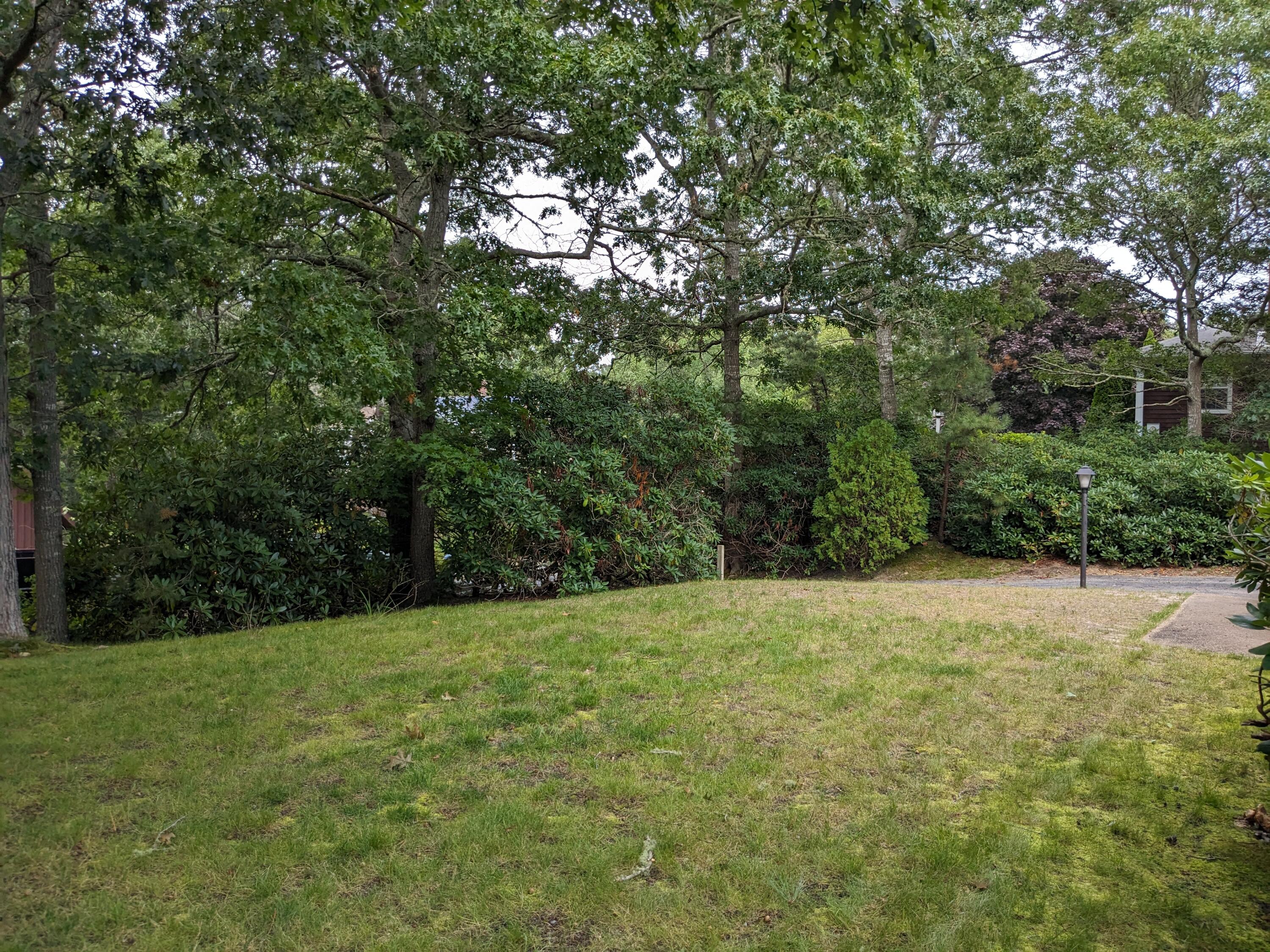 9 Mcnamara Avenue