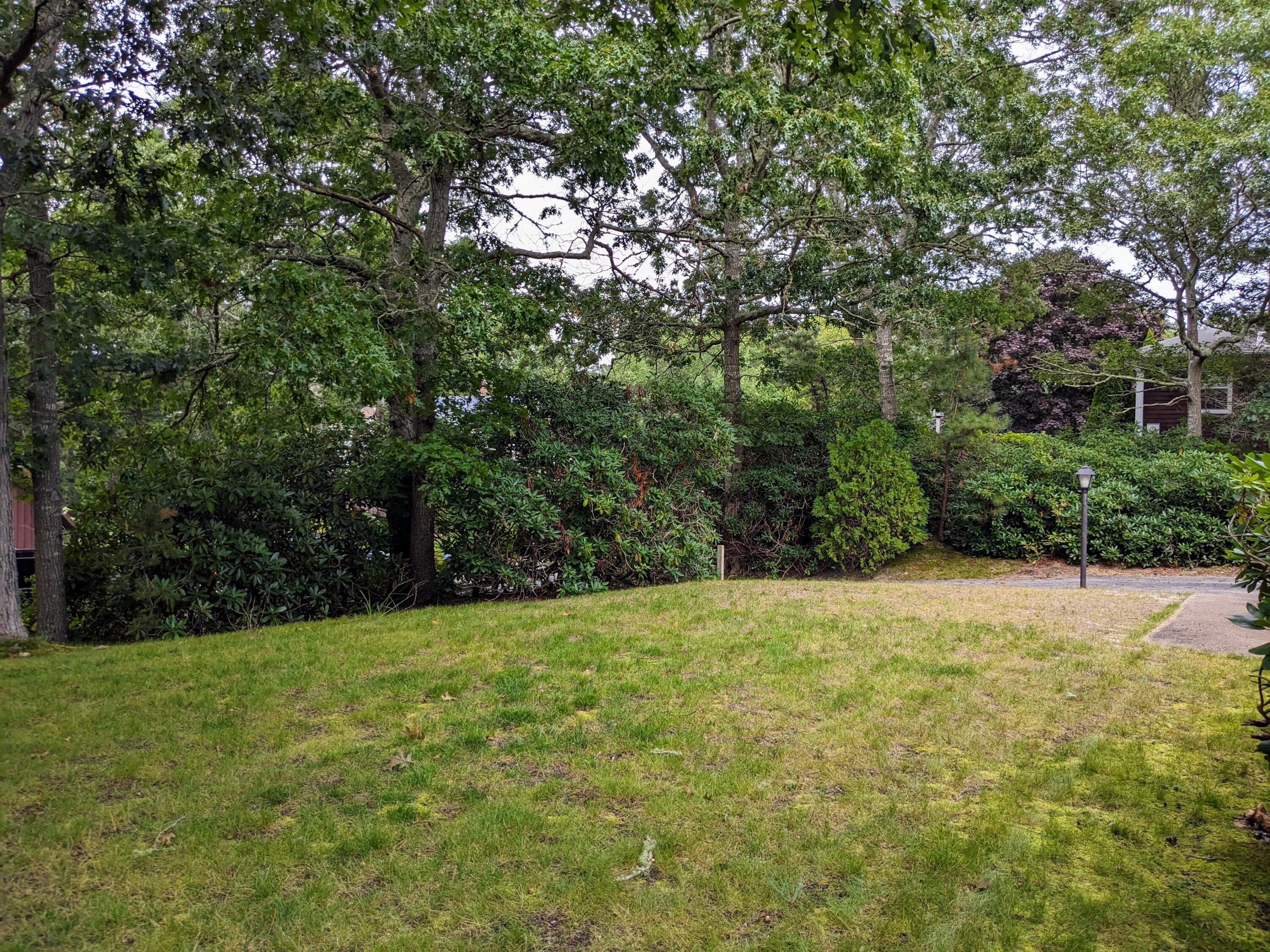 9 Mcnamara Avenue