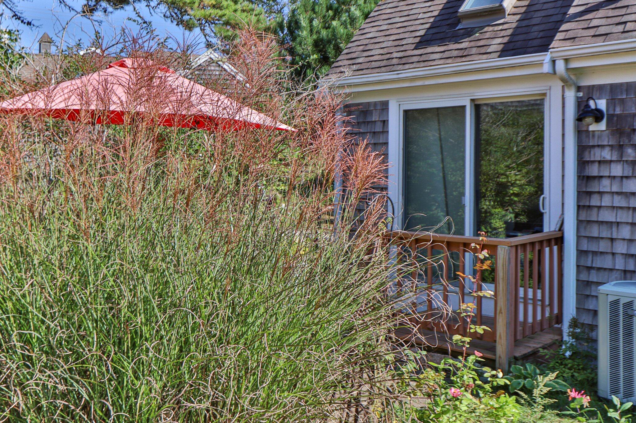 6 Shore Road # 16