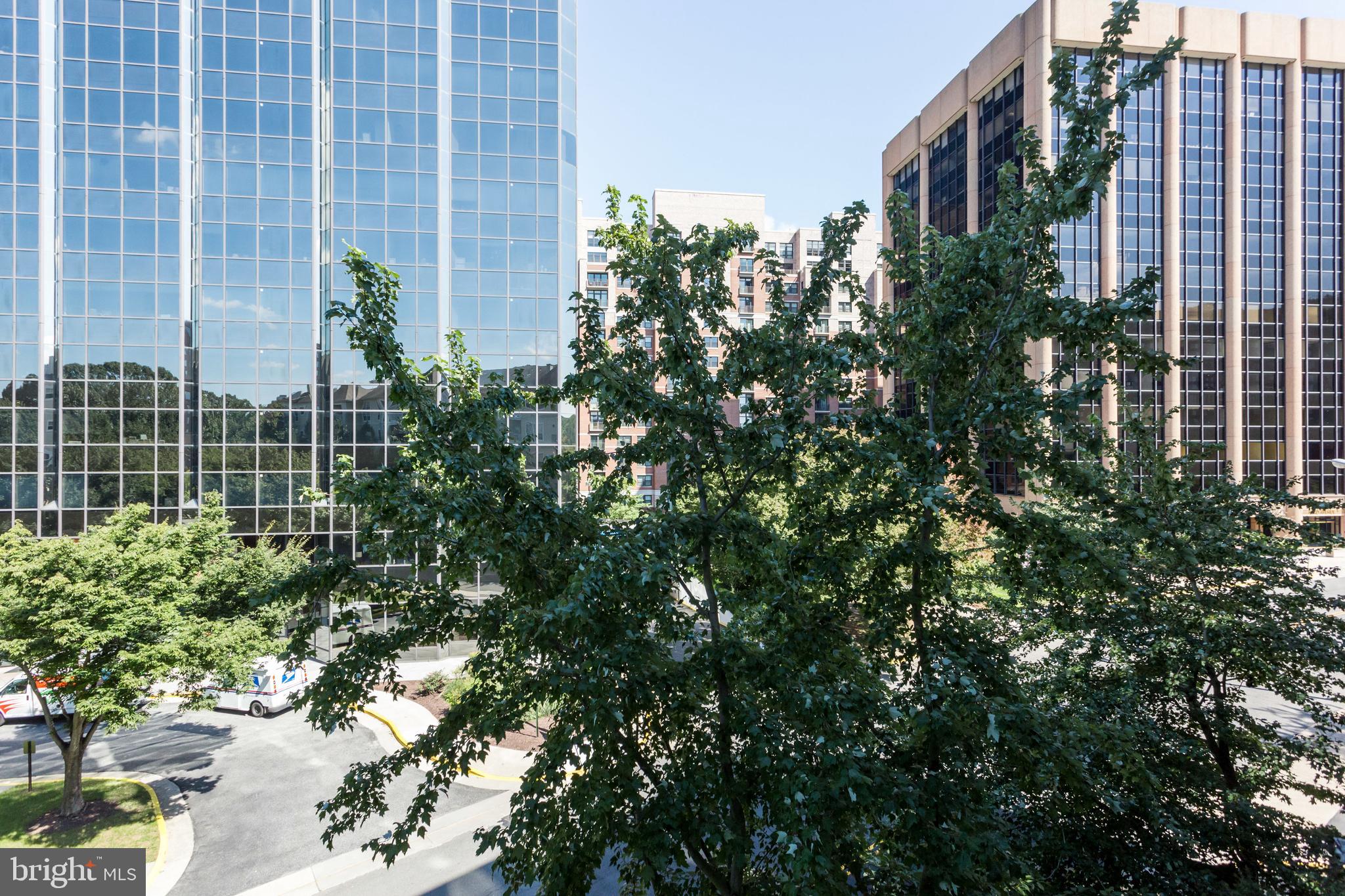 4551 Strutfield LANE Unit: 4225