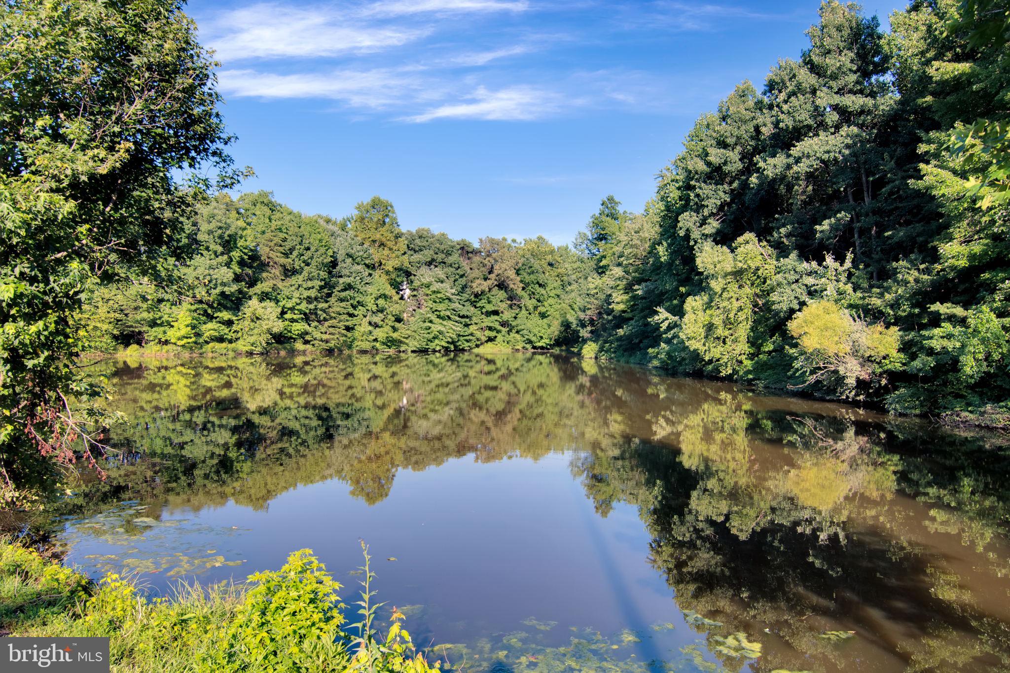 7707 HAYNES POINT WAY Unit: G