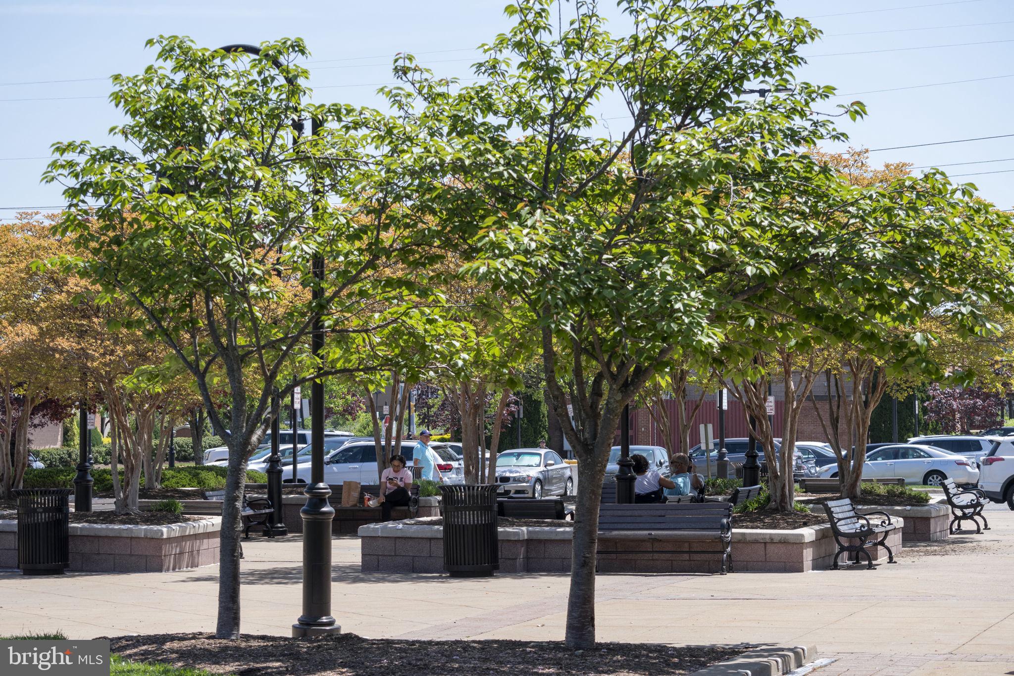 6954 Ellingham Cir #E