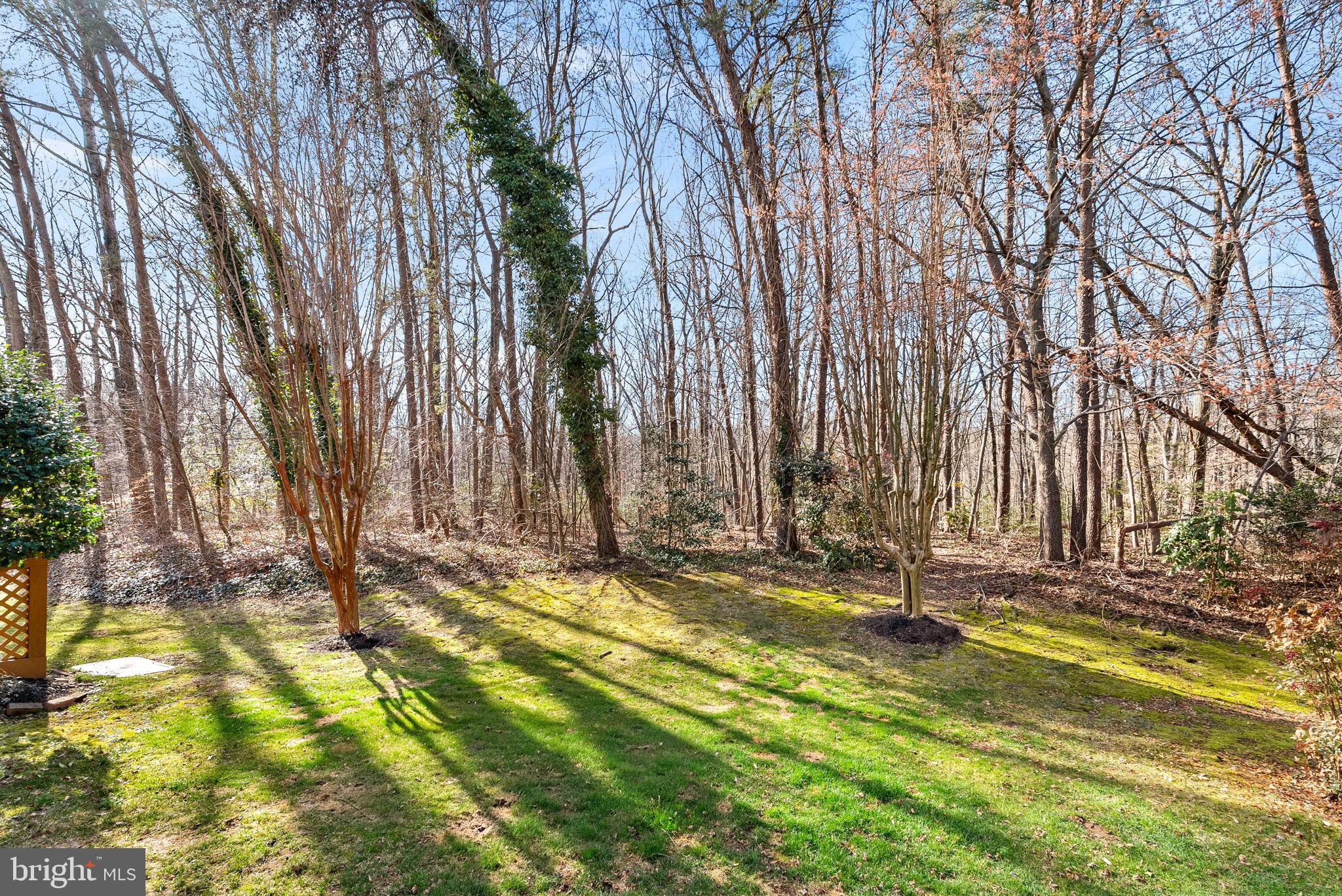 6223 WINDHAM HILL RUN