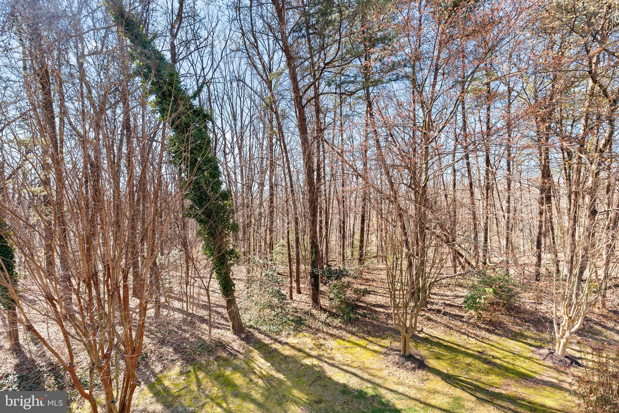 6223 WINDHAM HILL RUN