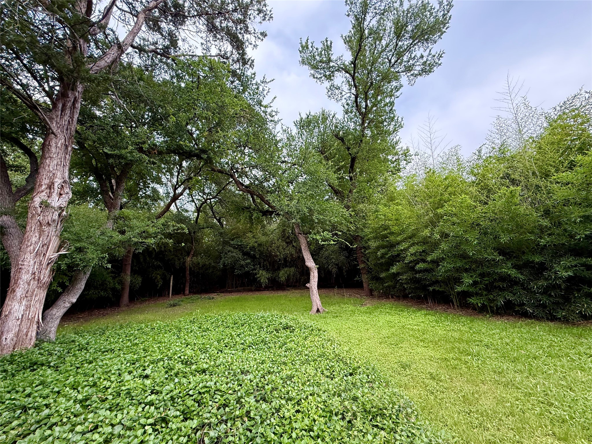 10208 Lake Gardens Drive