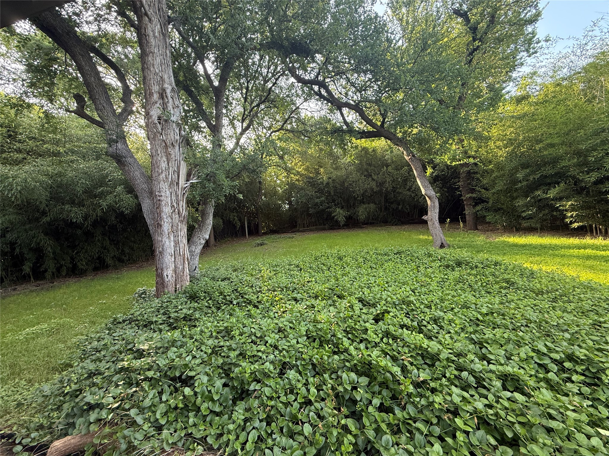 10208 Lake Gardens Drive