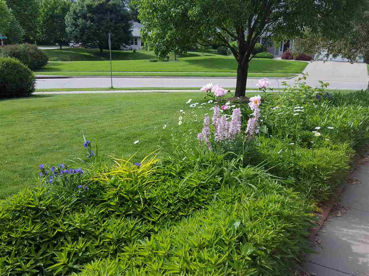 1310 Teg Dr