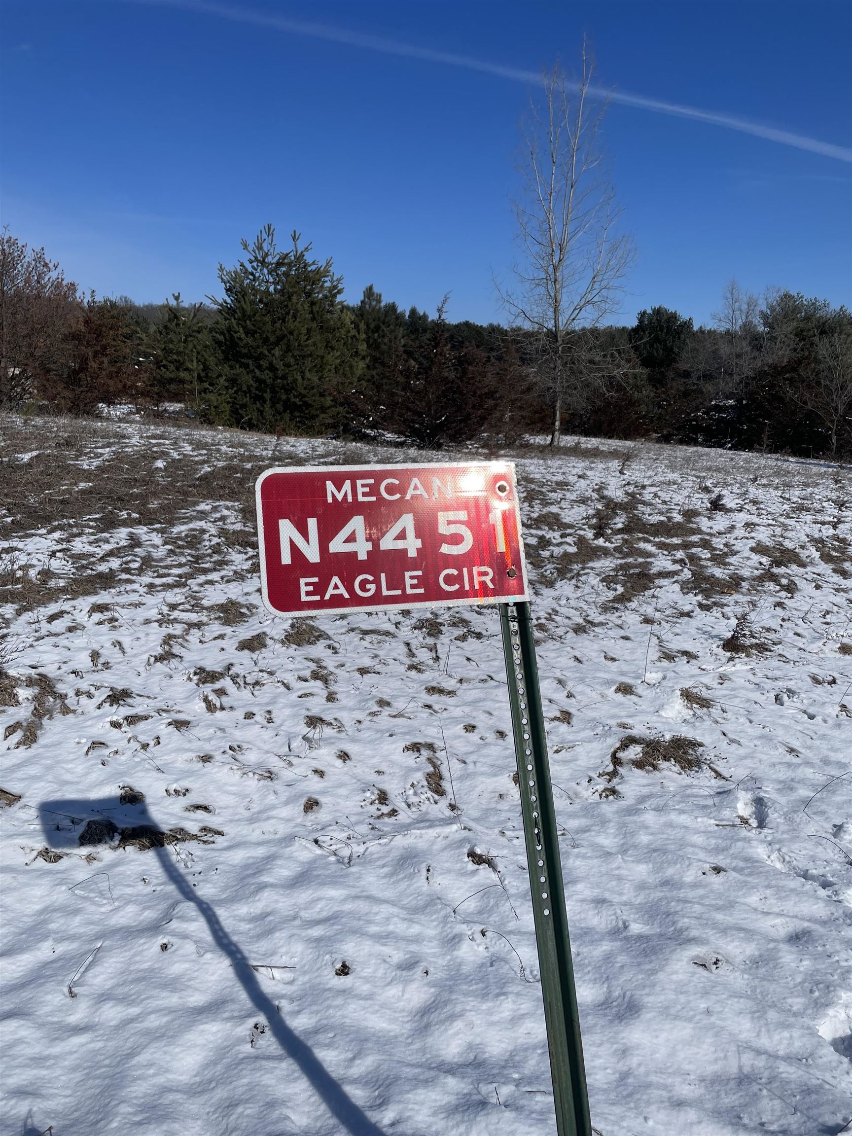 N4451 EAGLE Lane