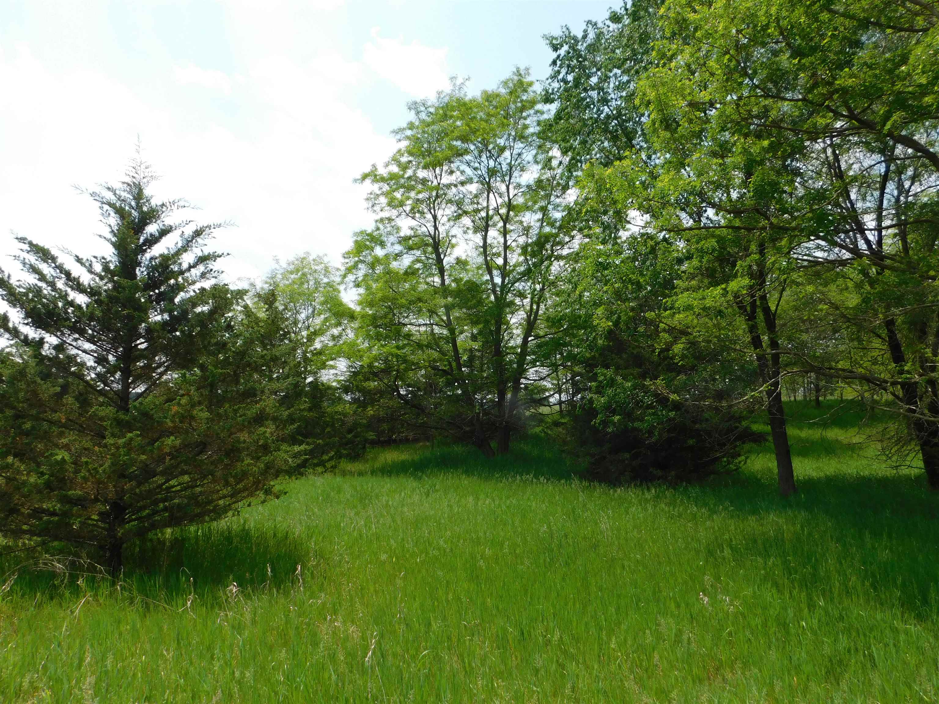 Lot 57 Eagle Lane