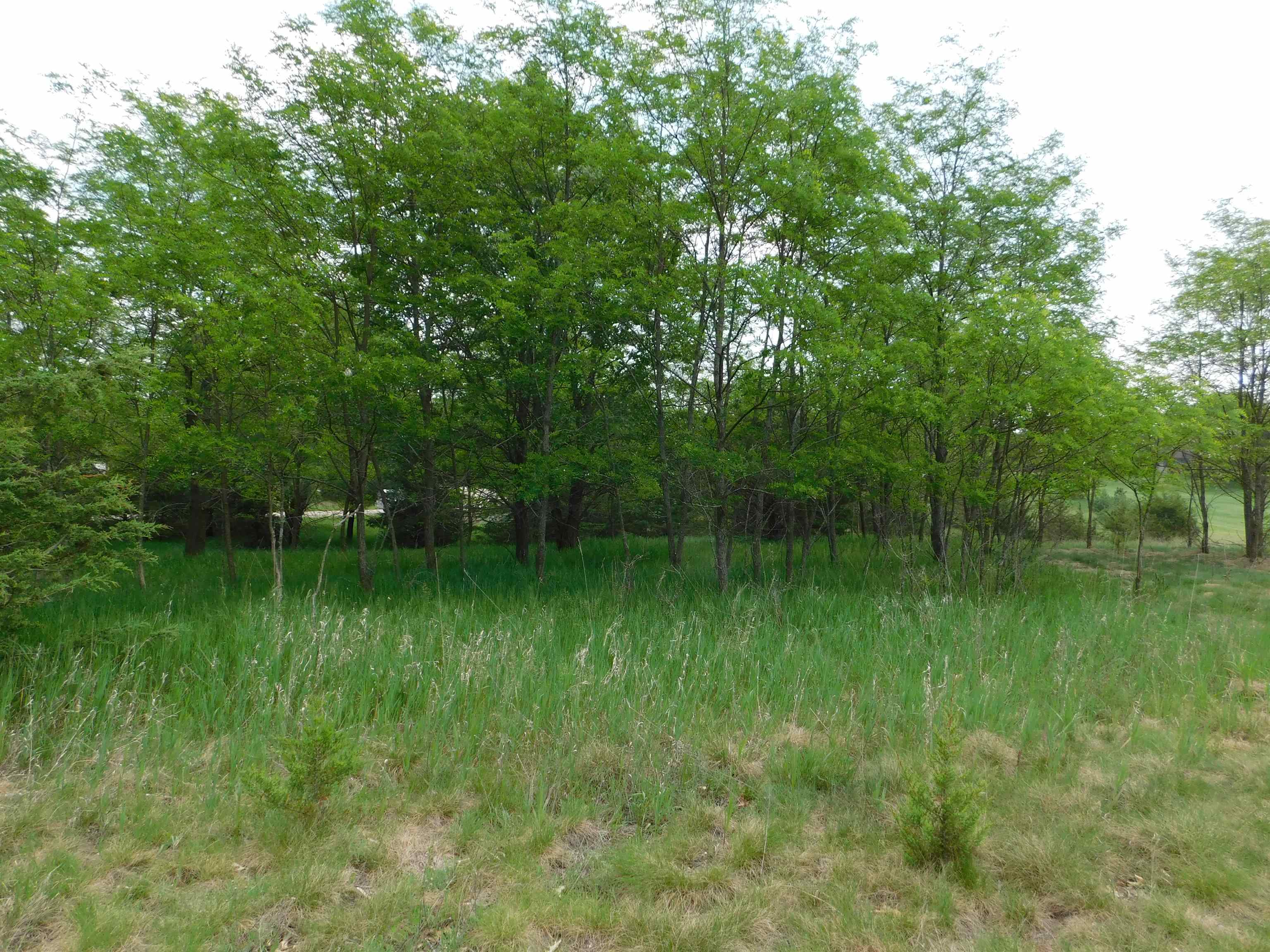 Lot 57 Eagle Lane