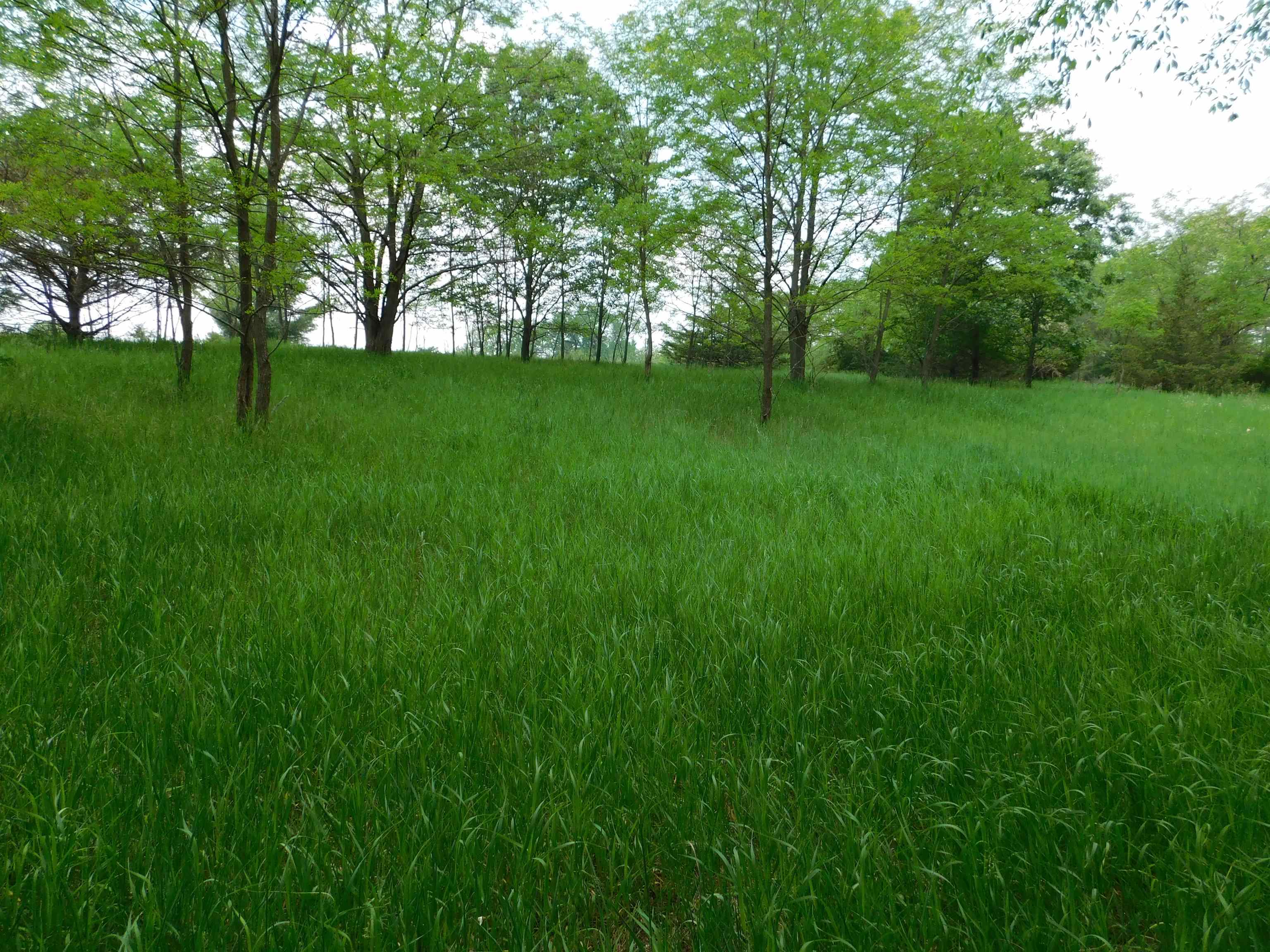 Lot 57 Eagle Lane