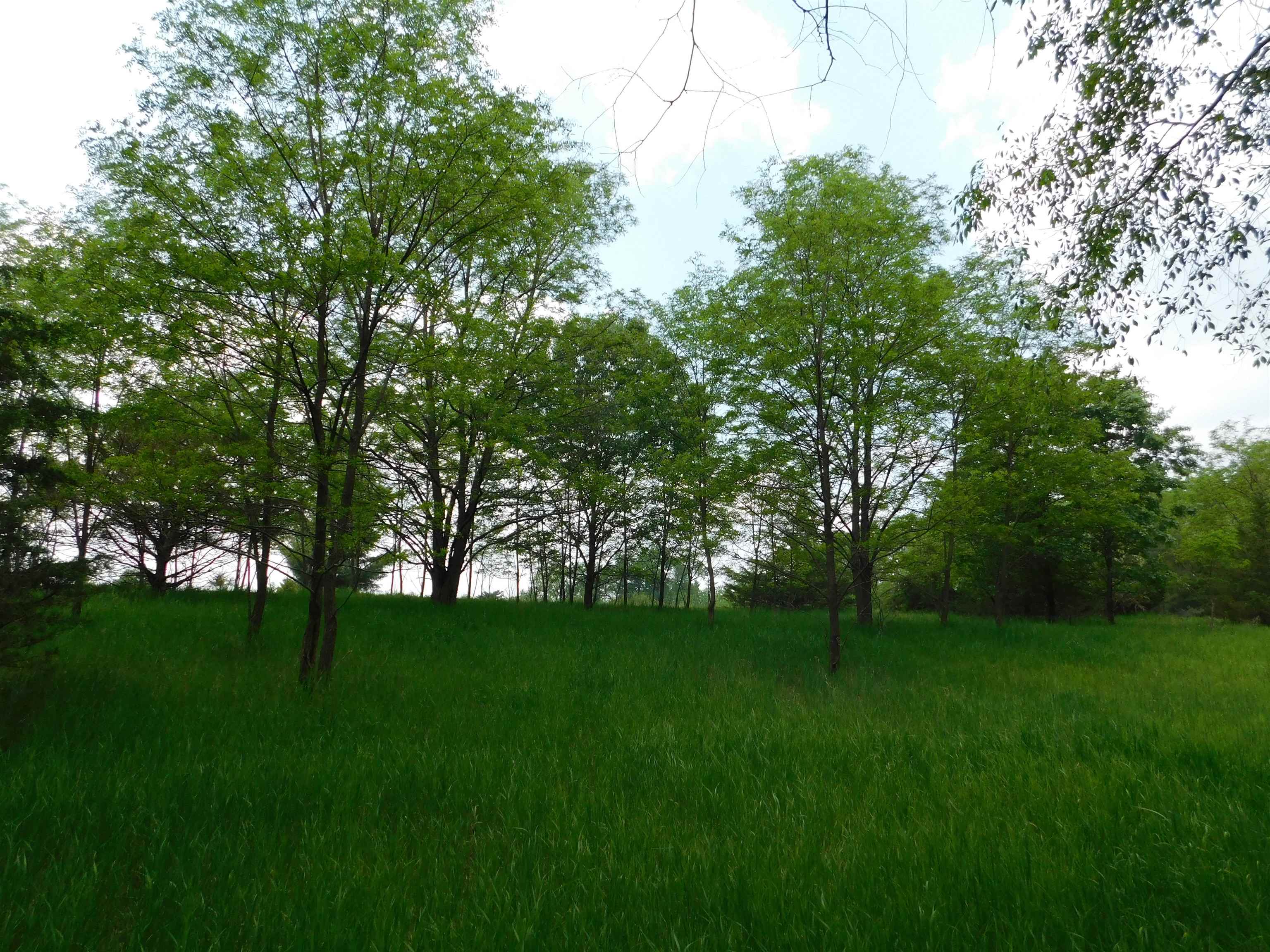 Lot 57 Eagle Lane