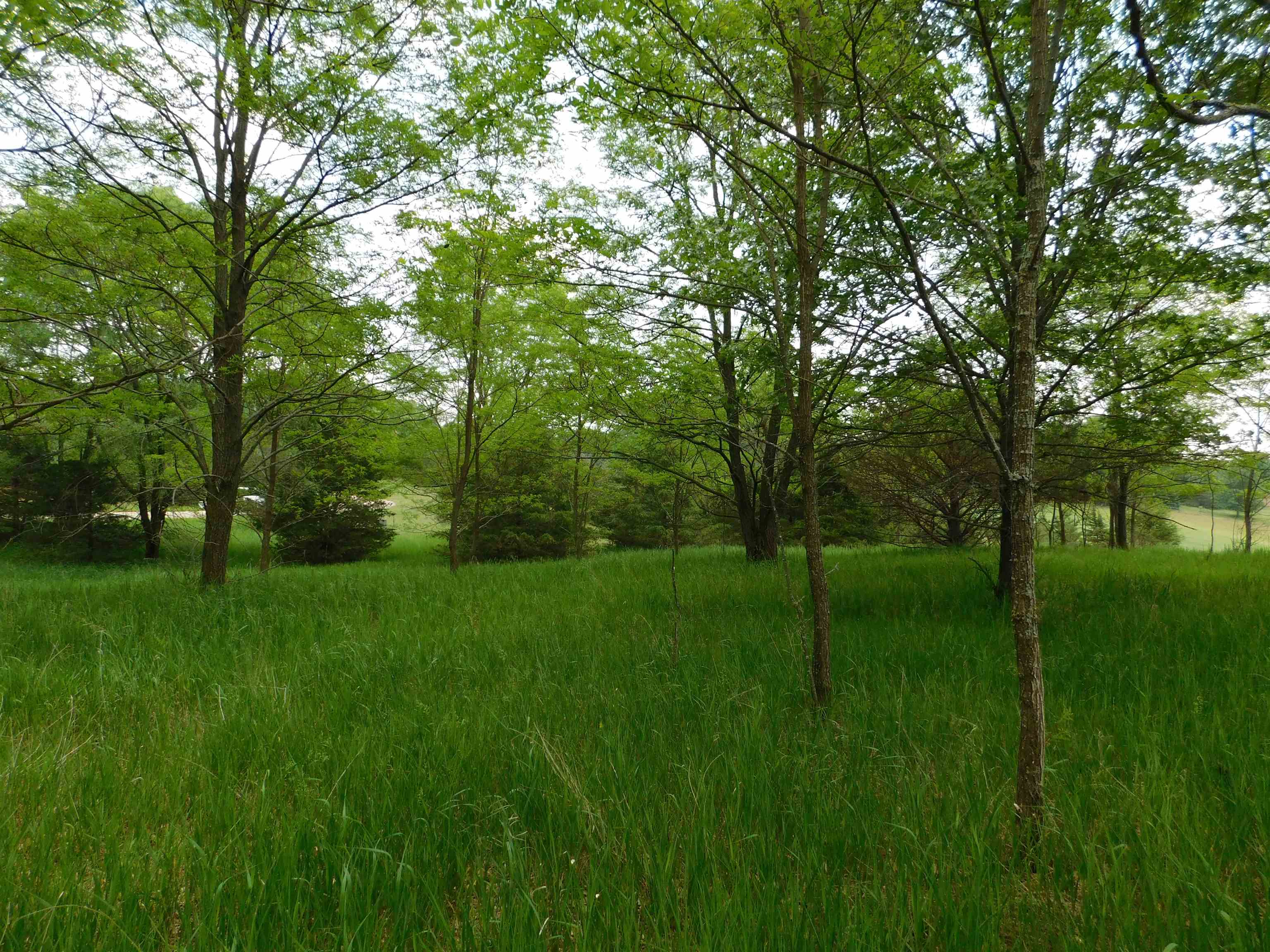 Lot 57 Eagle Lane