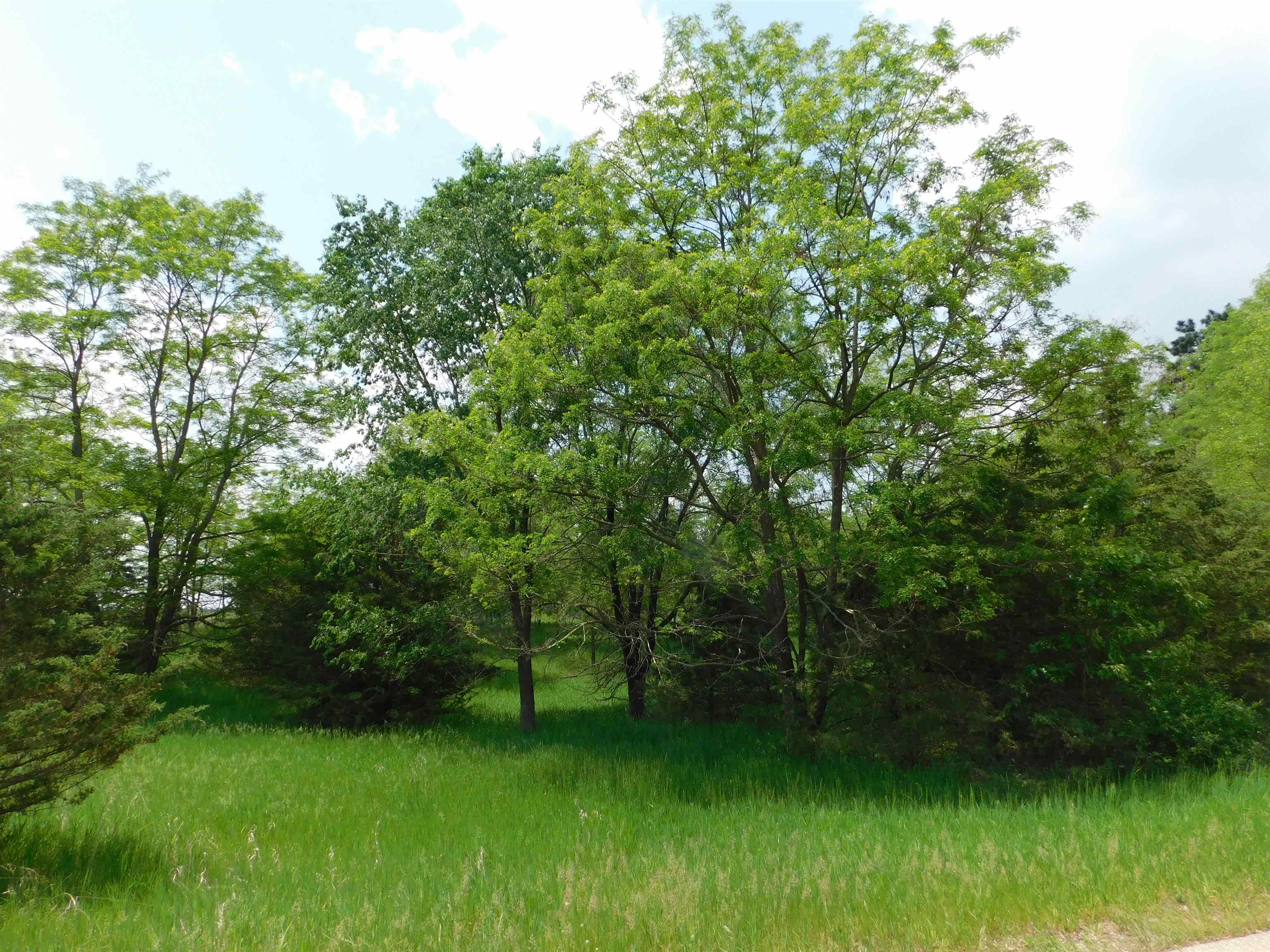 Lot 57 Eagle Lane