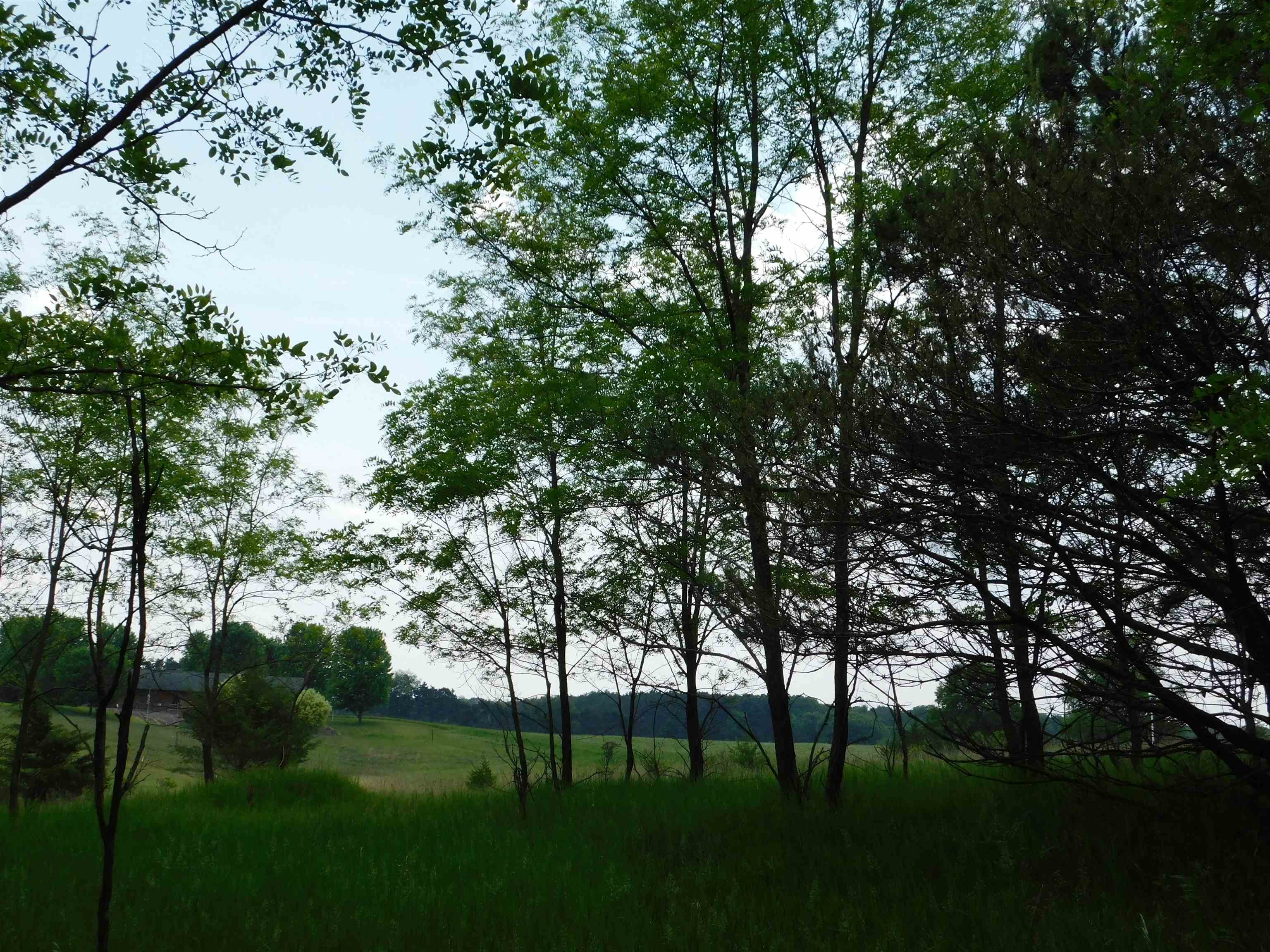 Lot 57 Eagle Lane