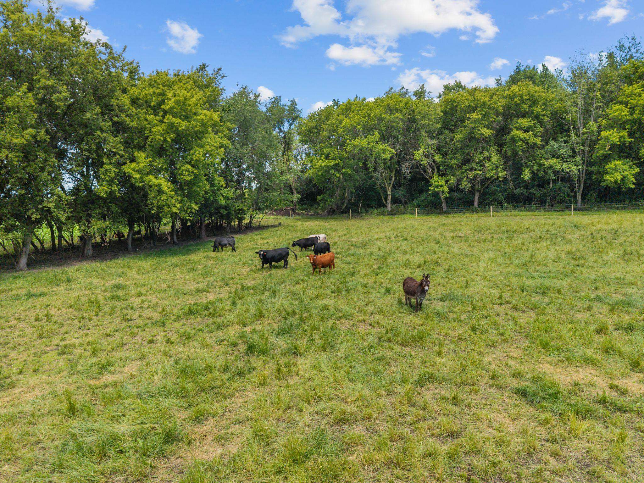 N2954 N Kearley Road