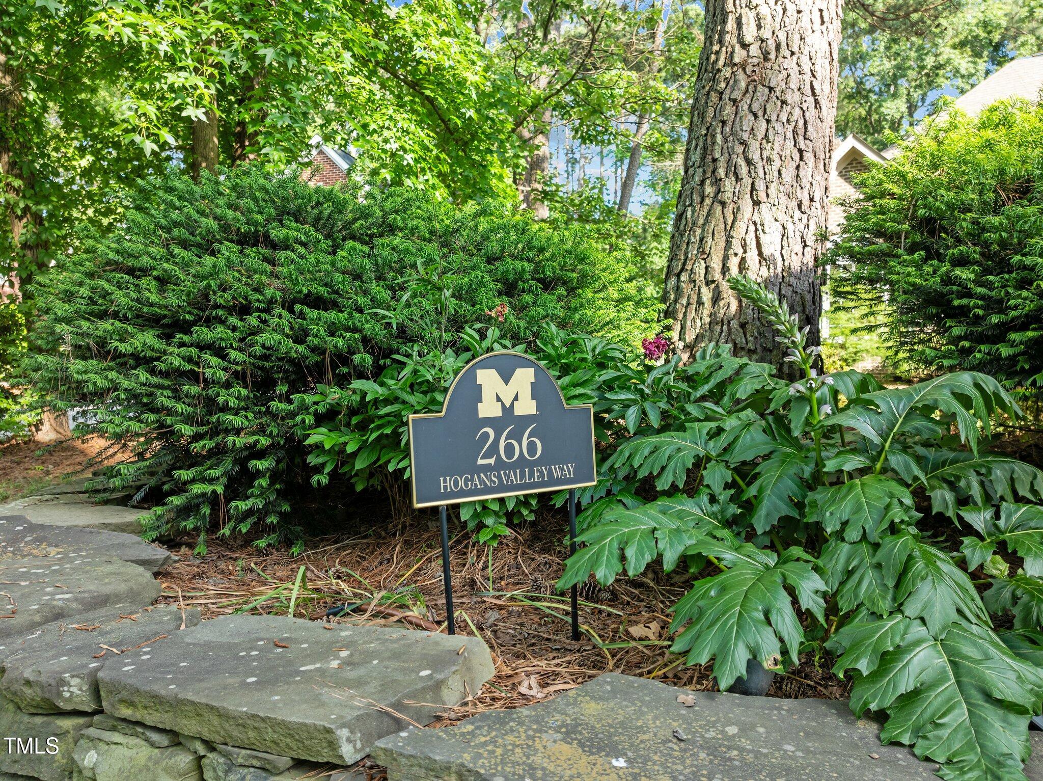 266 Hogans Valley Way