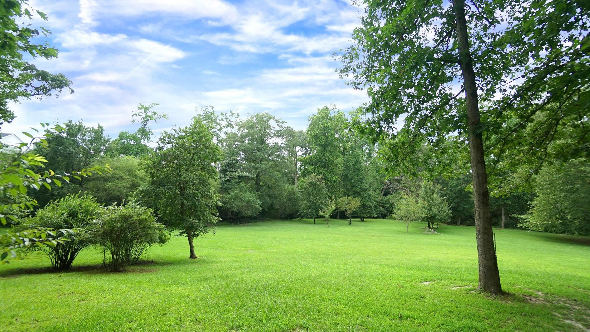 500 Woodman Drive