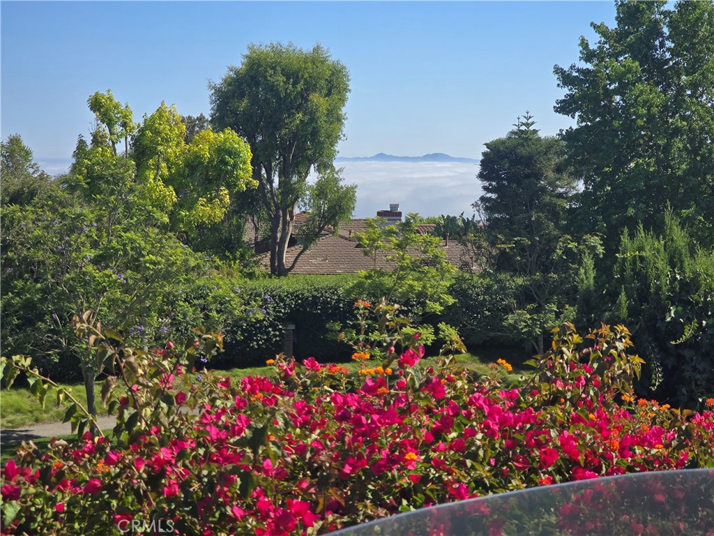 5726 Sunmist Drive