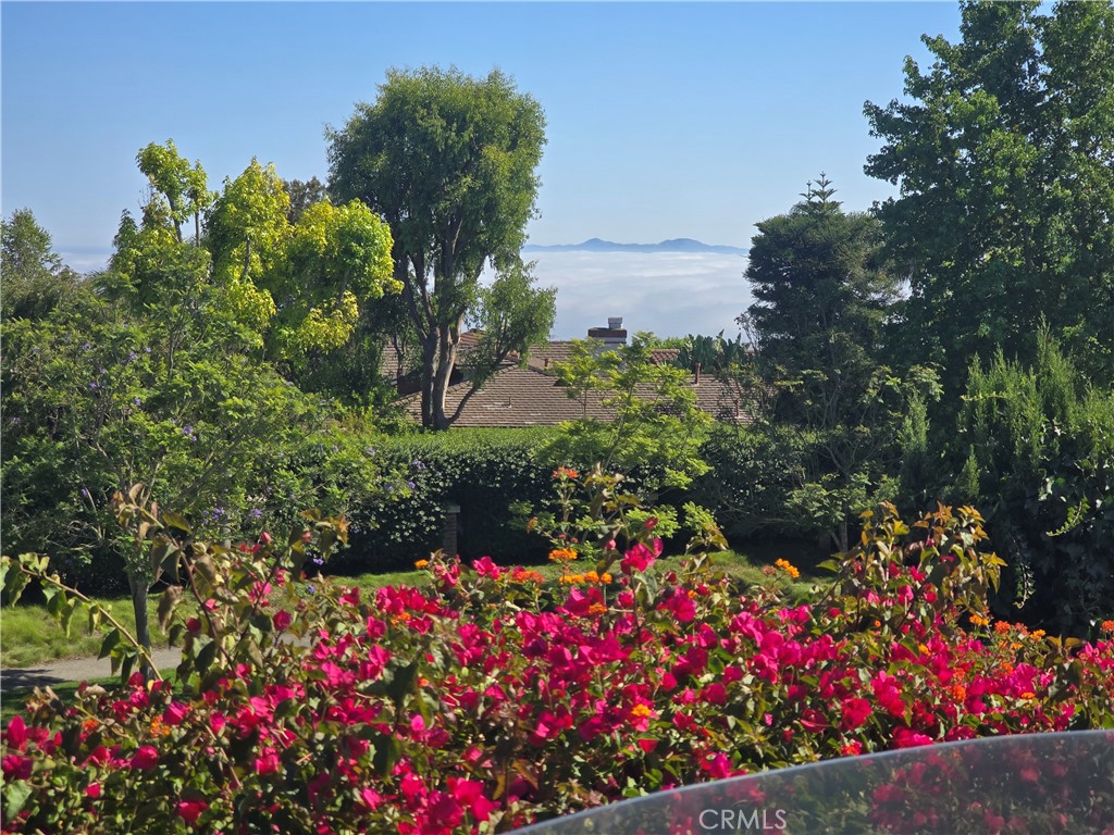 5726 Sunmist Drive