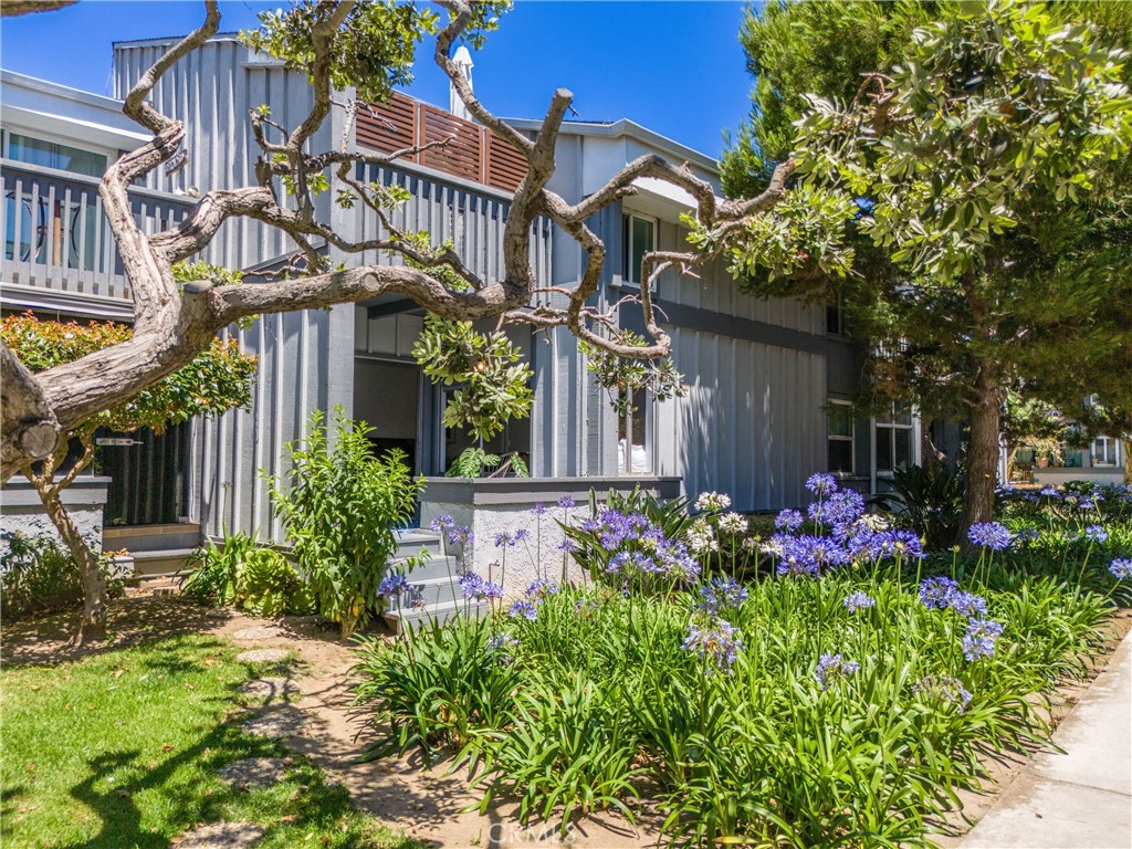 17072 Pacific Coast 100