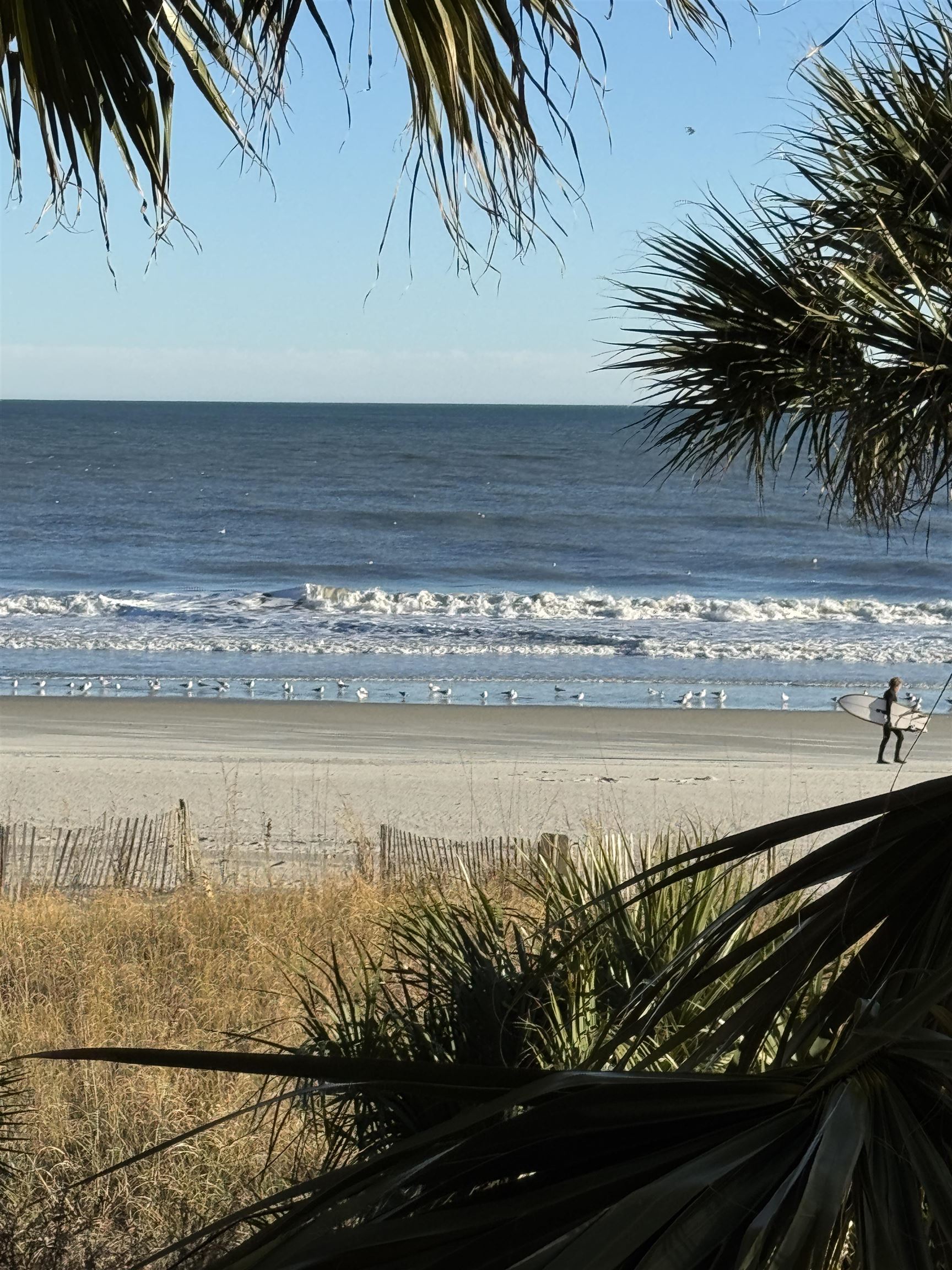 6900 Ocean Blvd. N Unit: 218