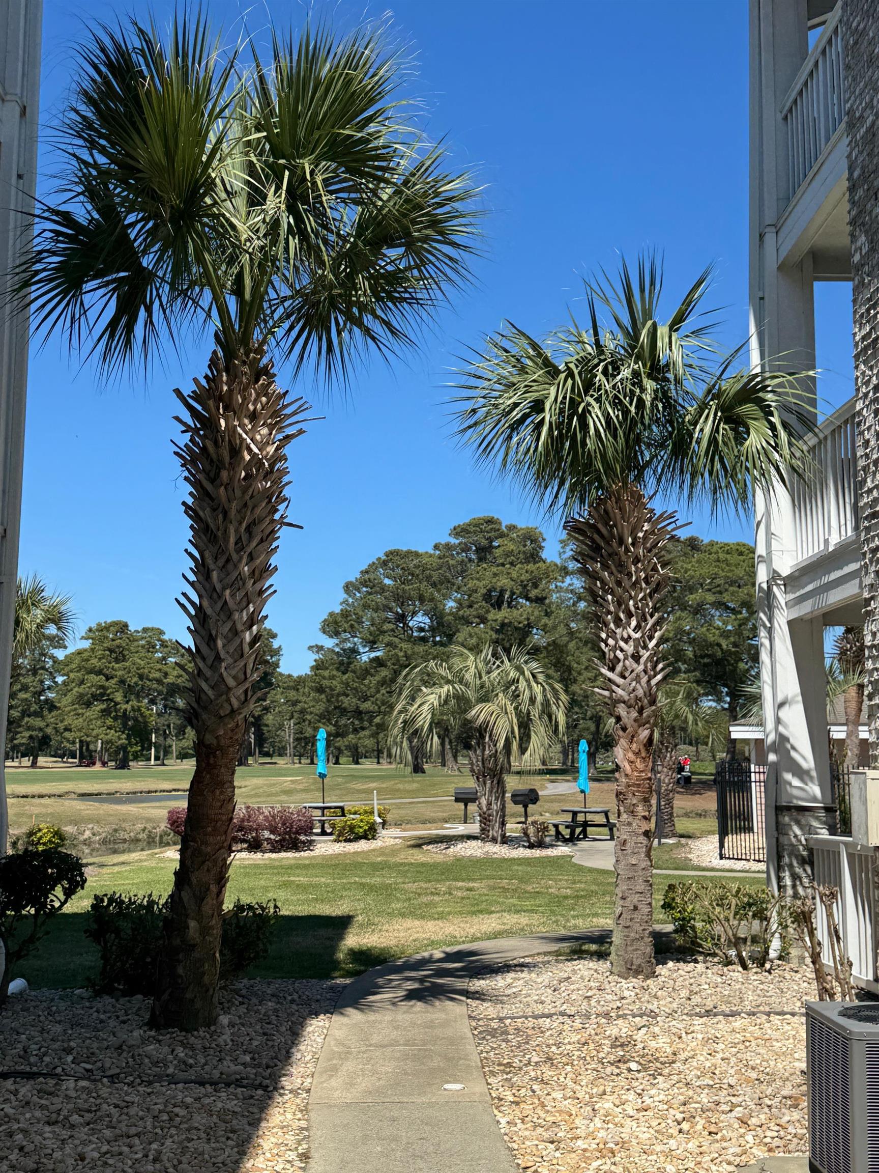 4733 Wild Iris Dr. Unit: 204