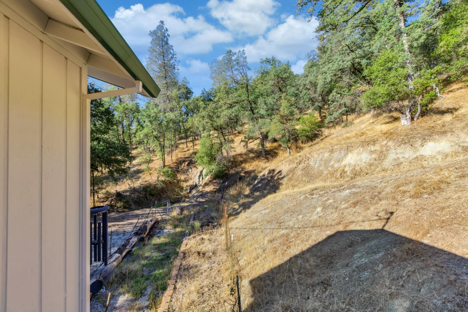 8531 Sheep Ranch Road