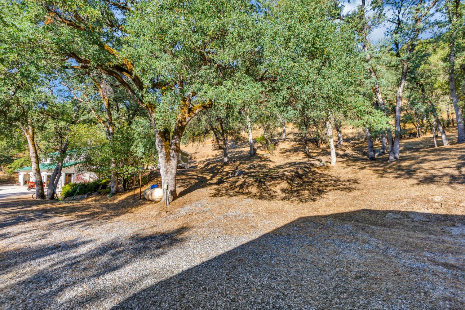 8531 Sheep Ranch Road