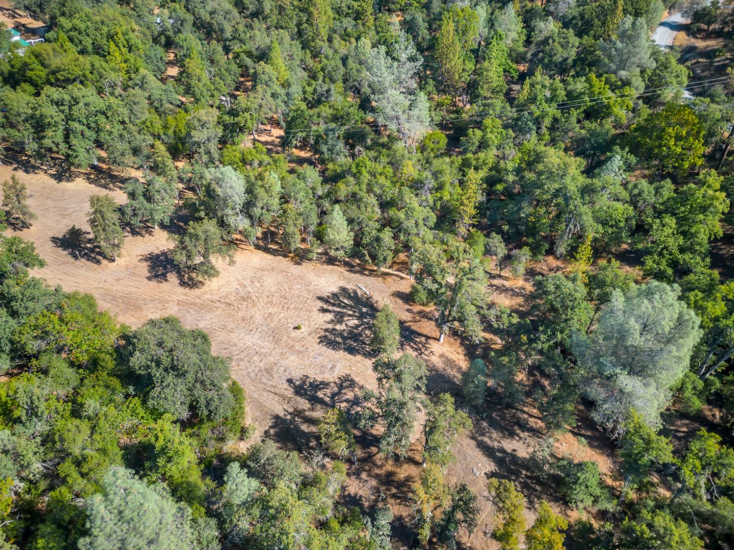 8531 Sheep Ranch Road