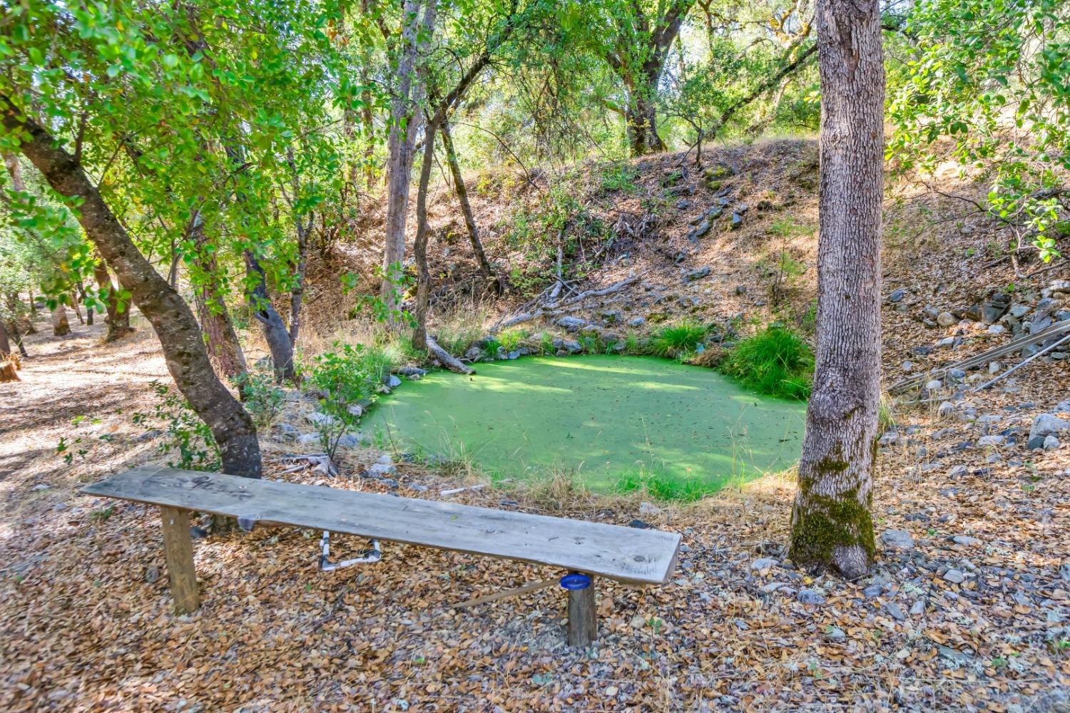 8531 Sheep Ranch Road