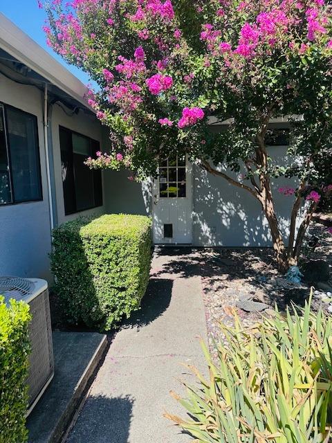 7457 Grand Oaks Boulevard