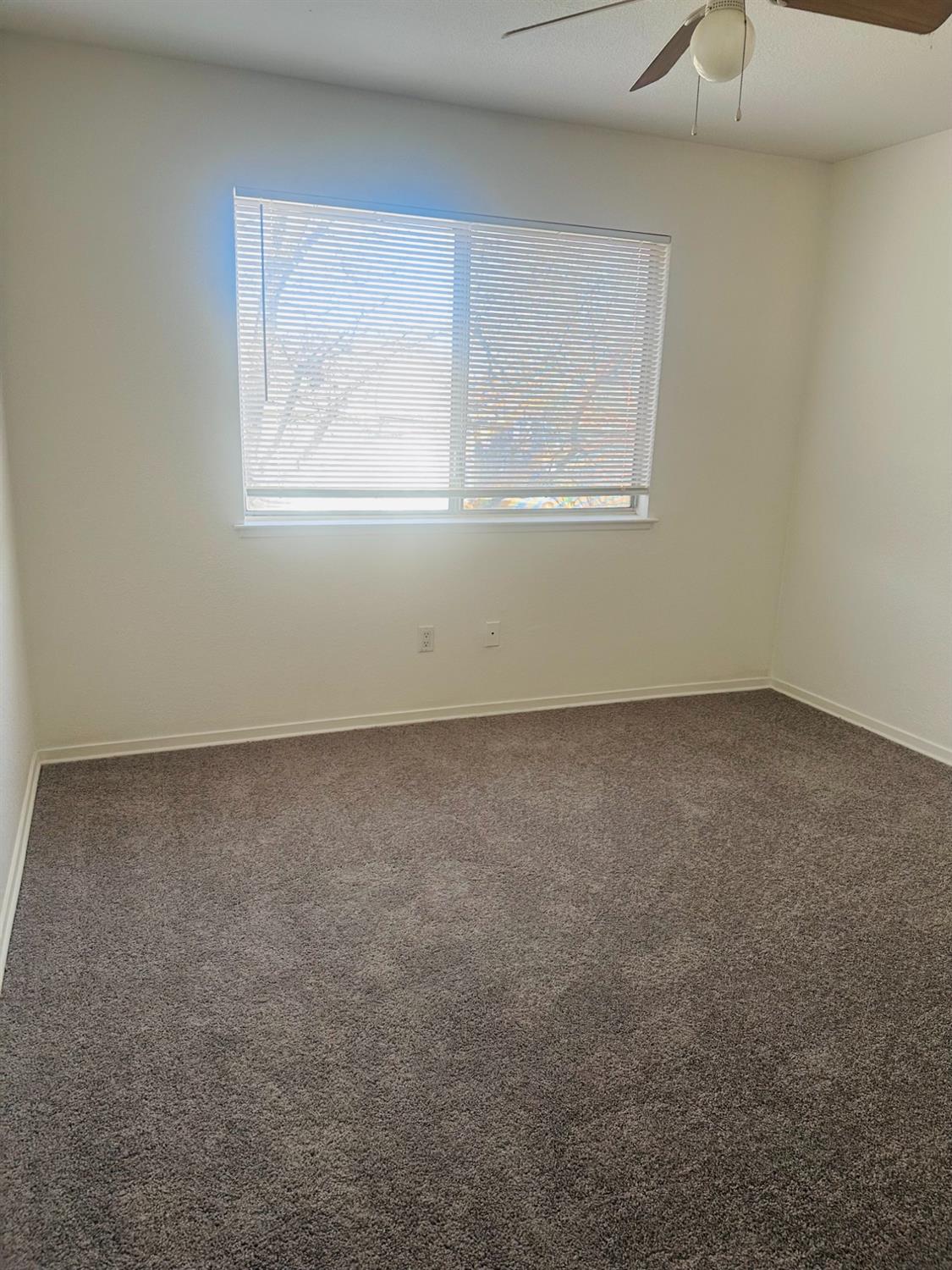 6244 Longford Drive 2