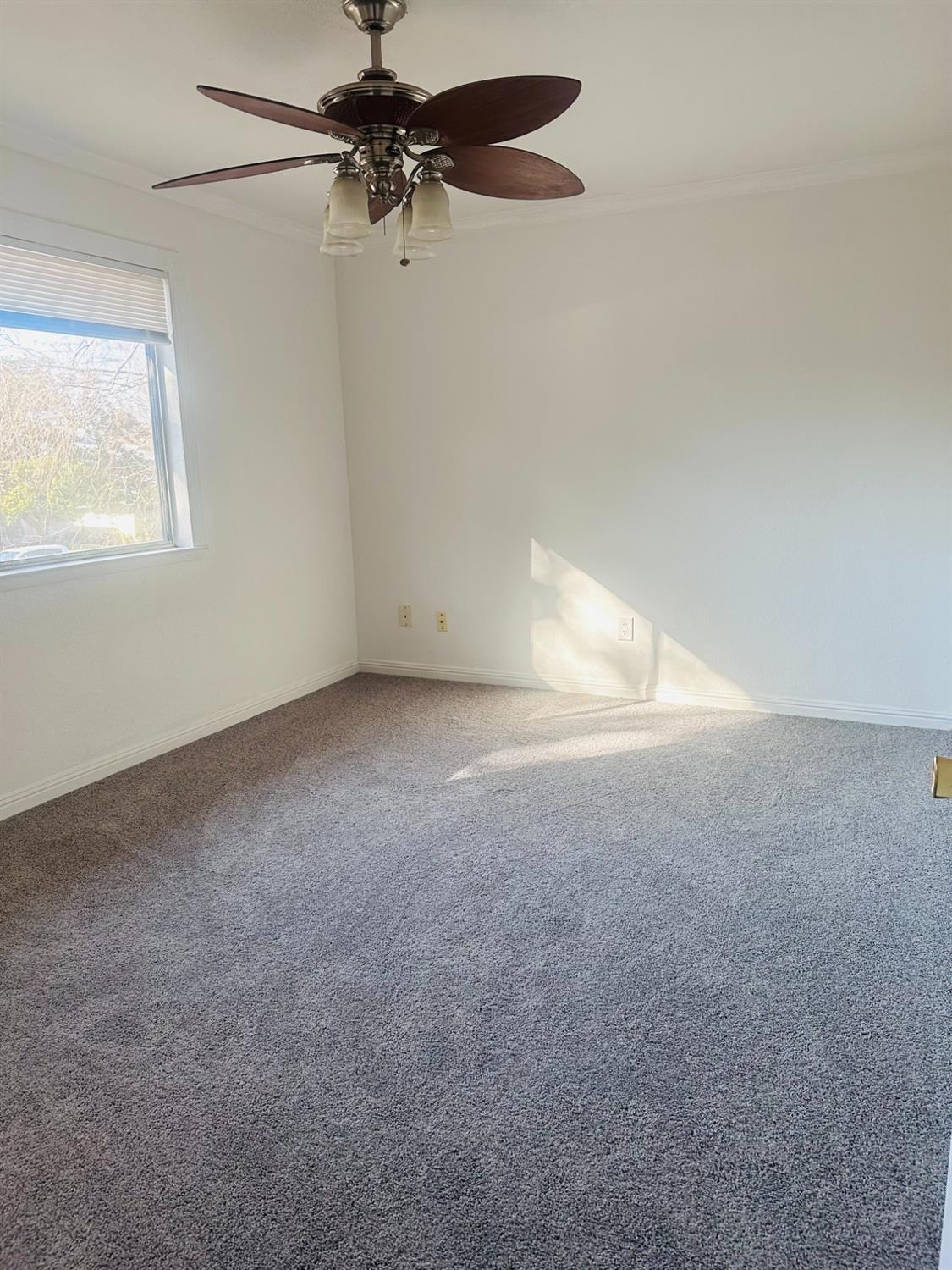 6244 Longford Drive 2