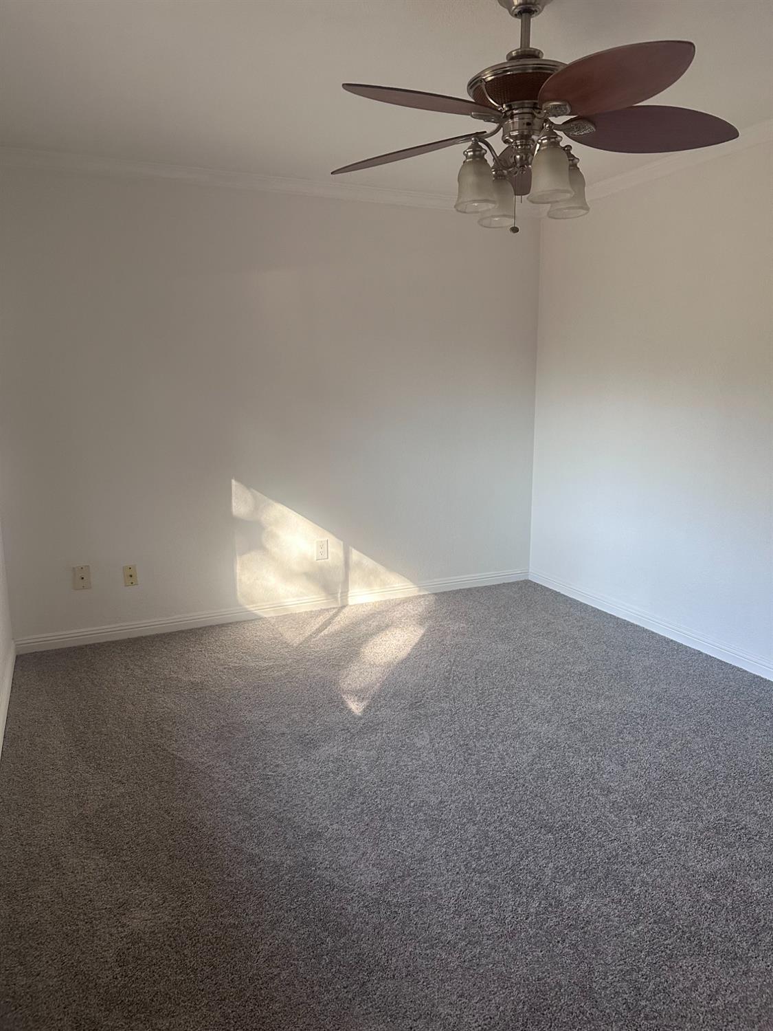 6244 Longford Drive 2