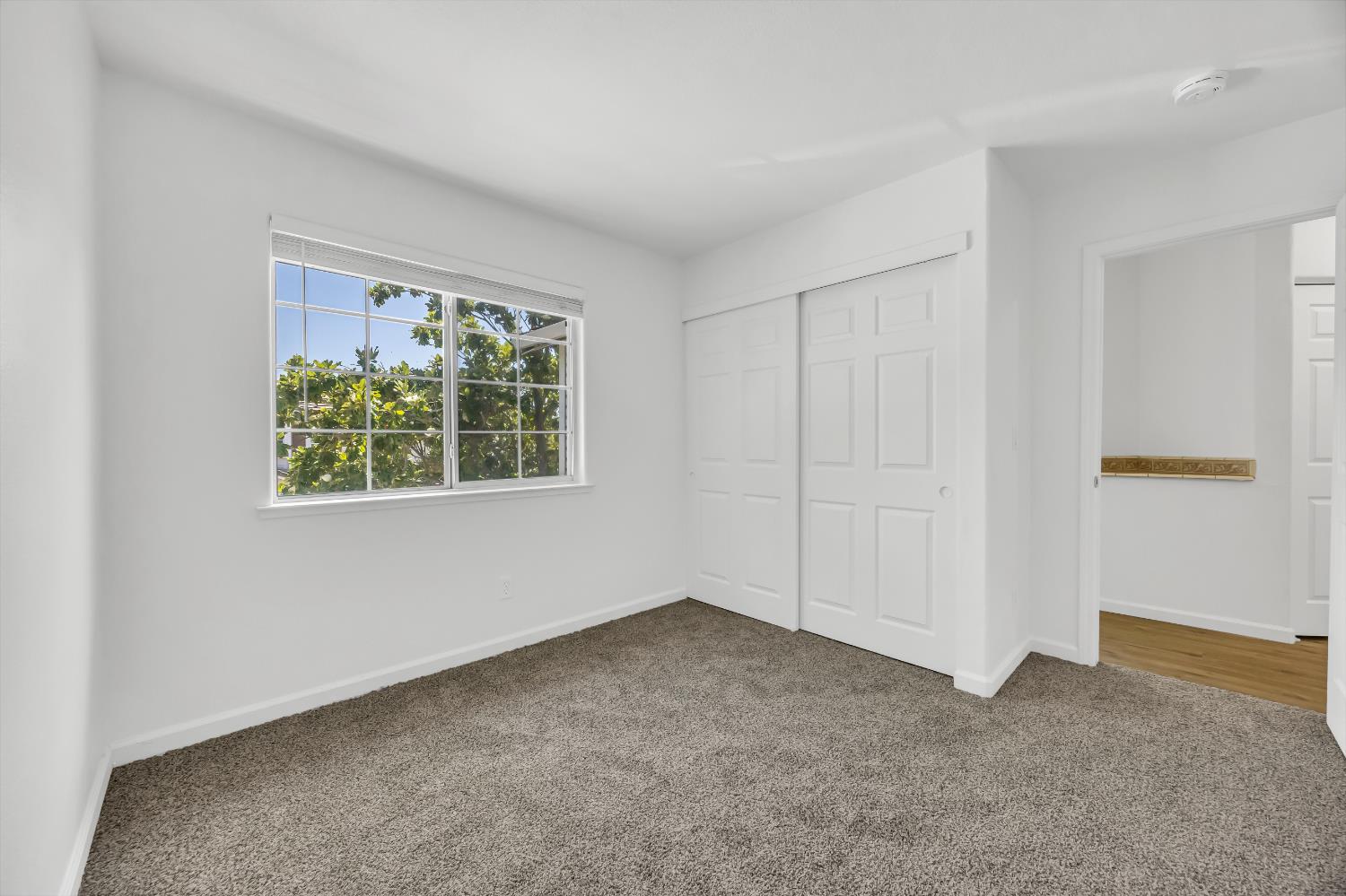 4229 Shandwick Drive