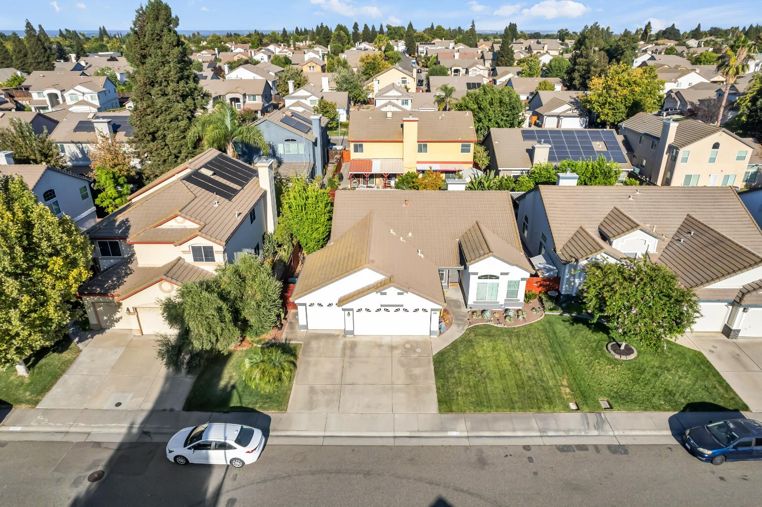 8046 Golden Vista Way