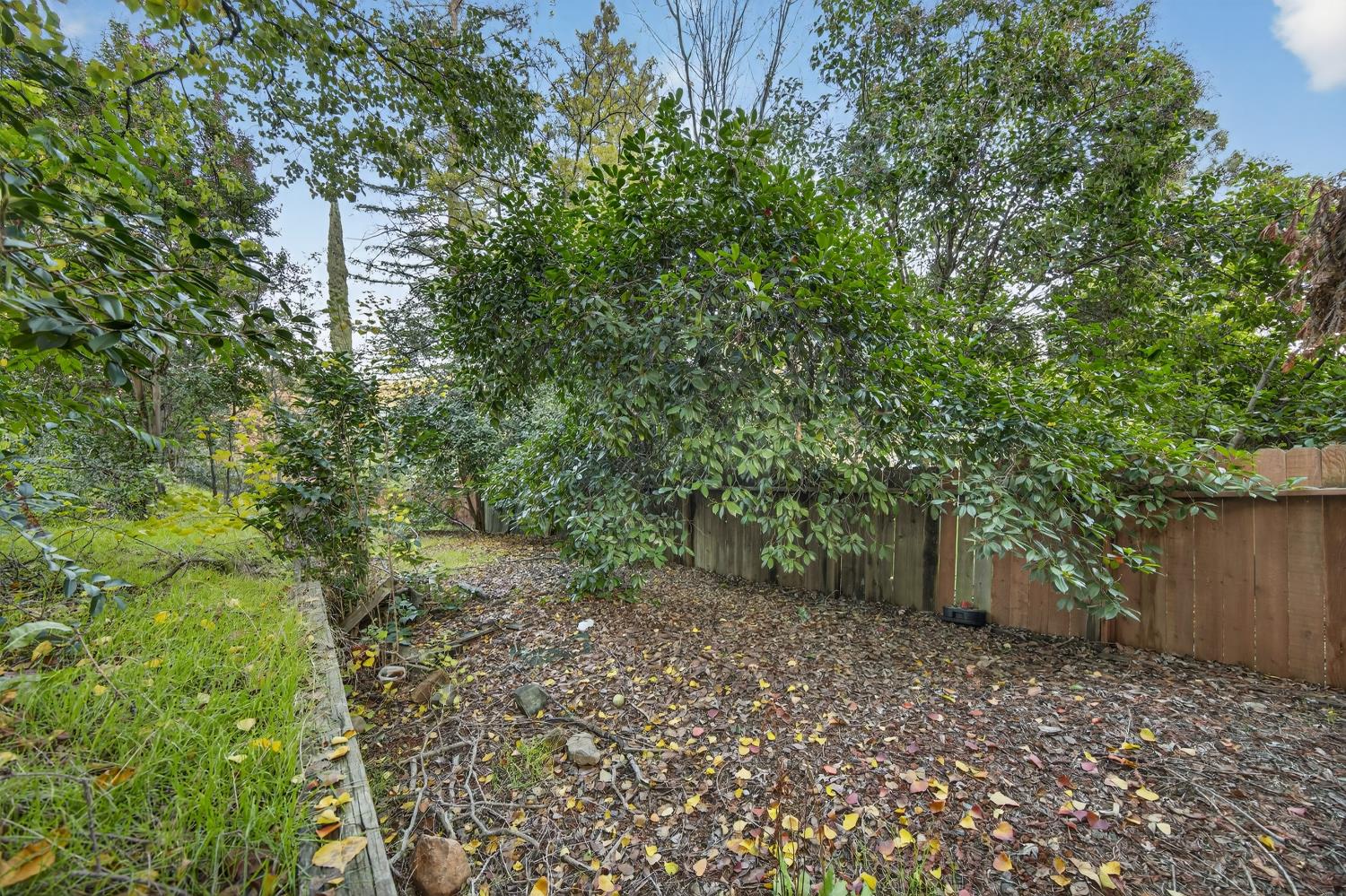 825 Mount Ranier Way