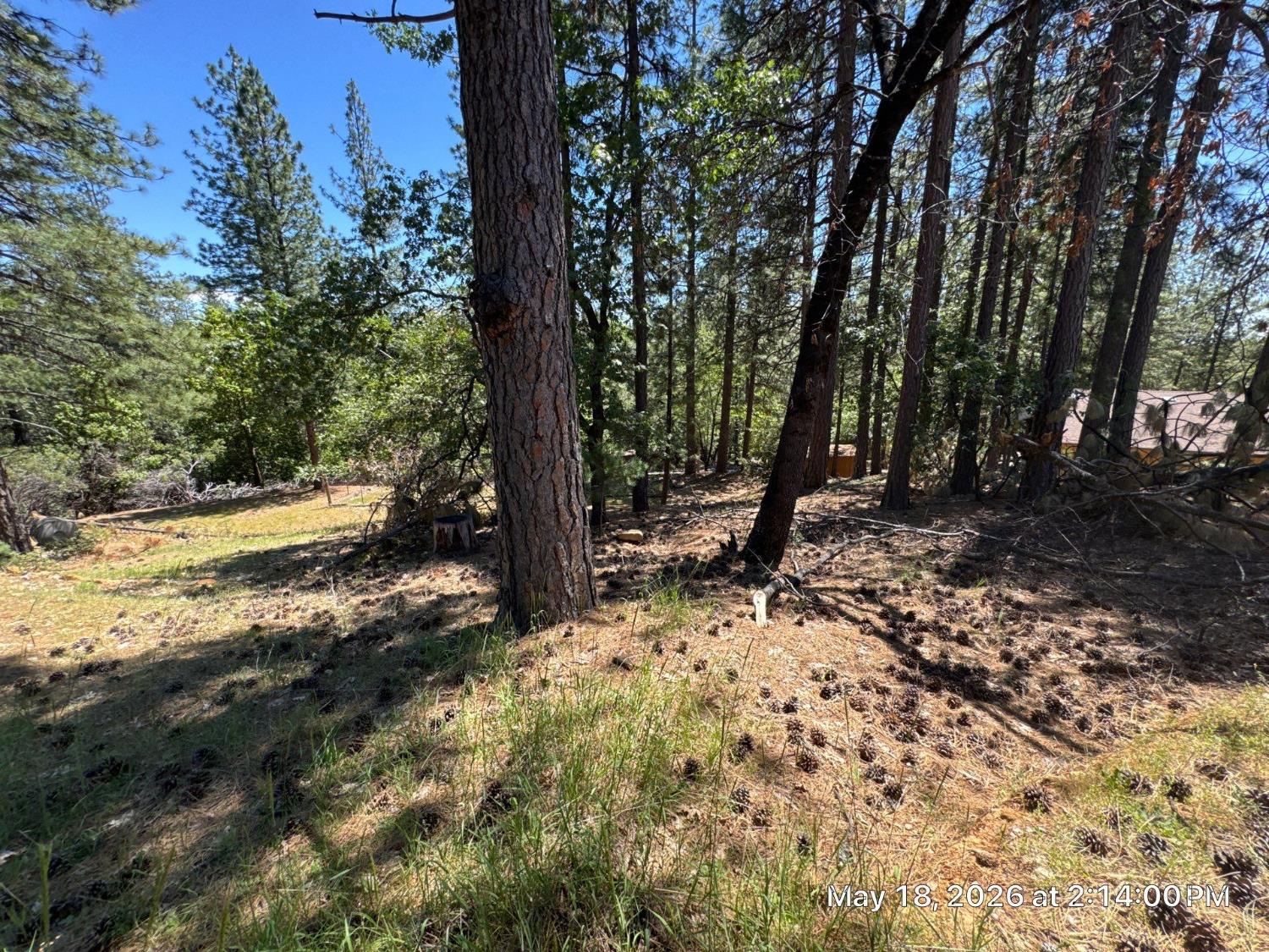 6396 Log Cabin Lane