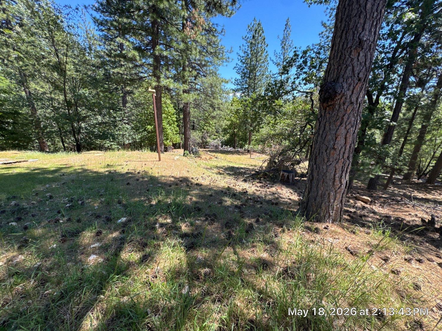 6396 Log Cabin Lane