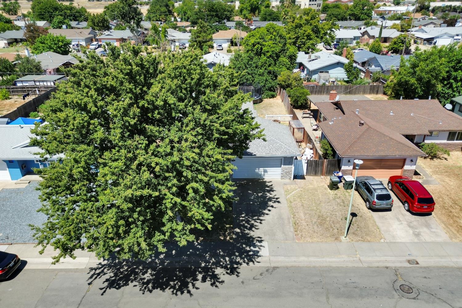 7718 Laurie Way
