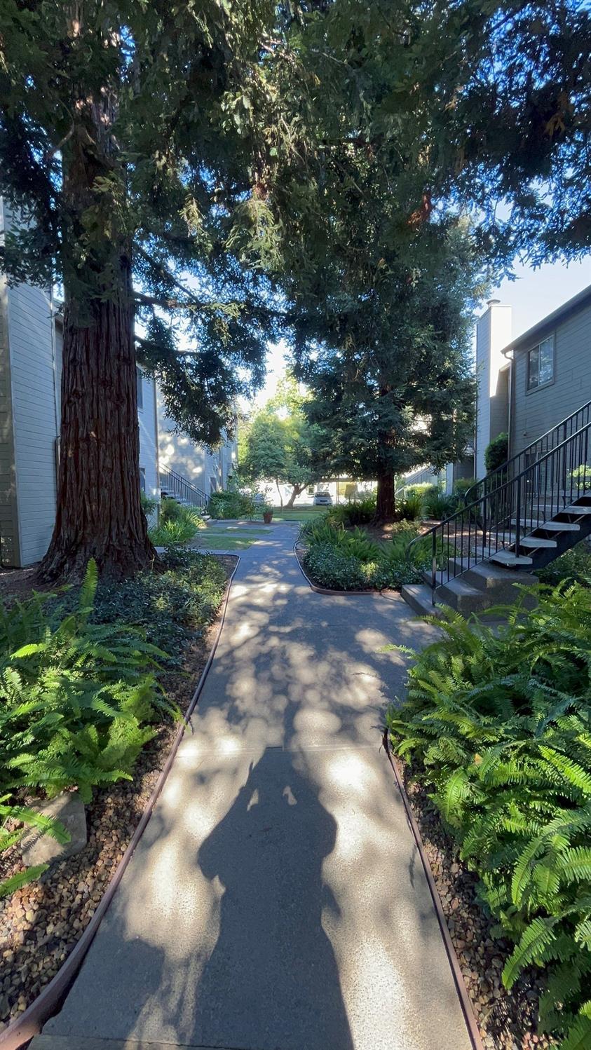 9127 Newhall Drive 31